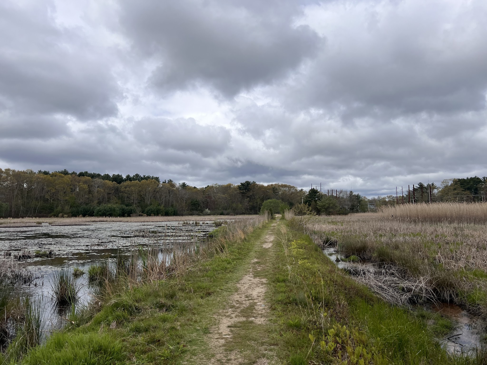 Crowell Conservation Area - Duxbury, MA