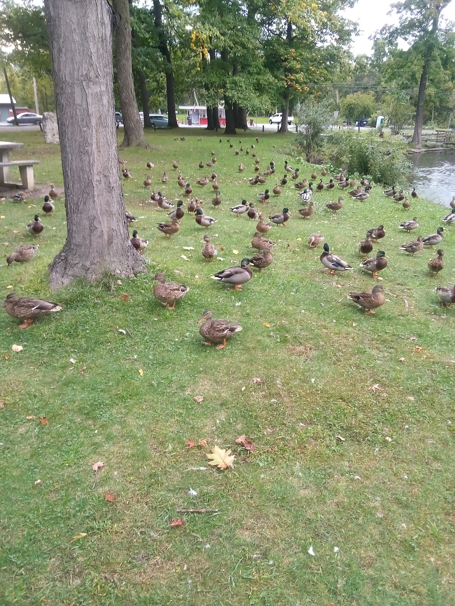 Eagle Bridge - Eagle Bridge, NY