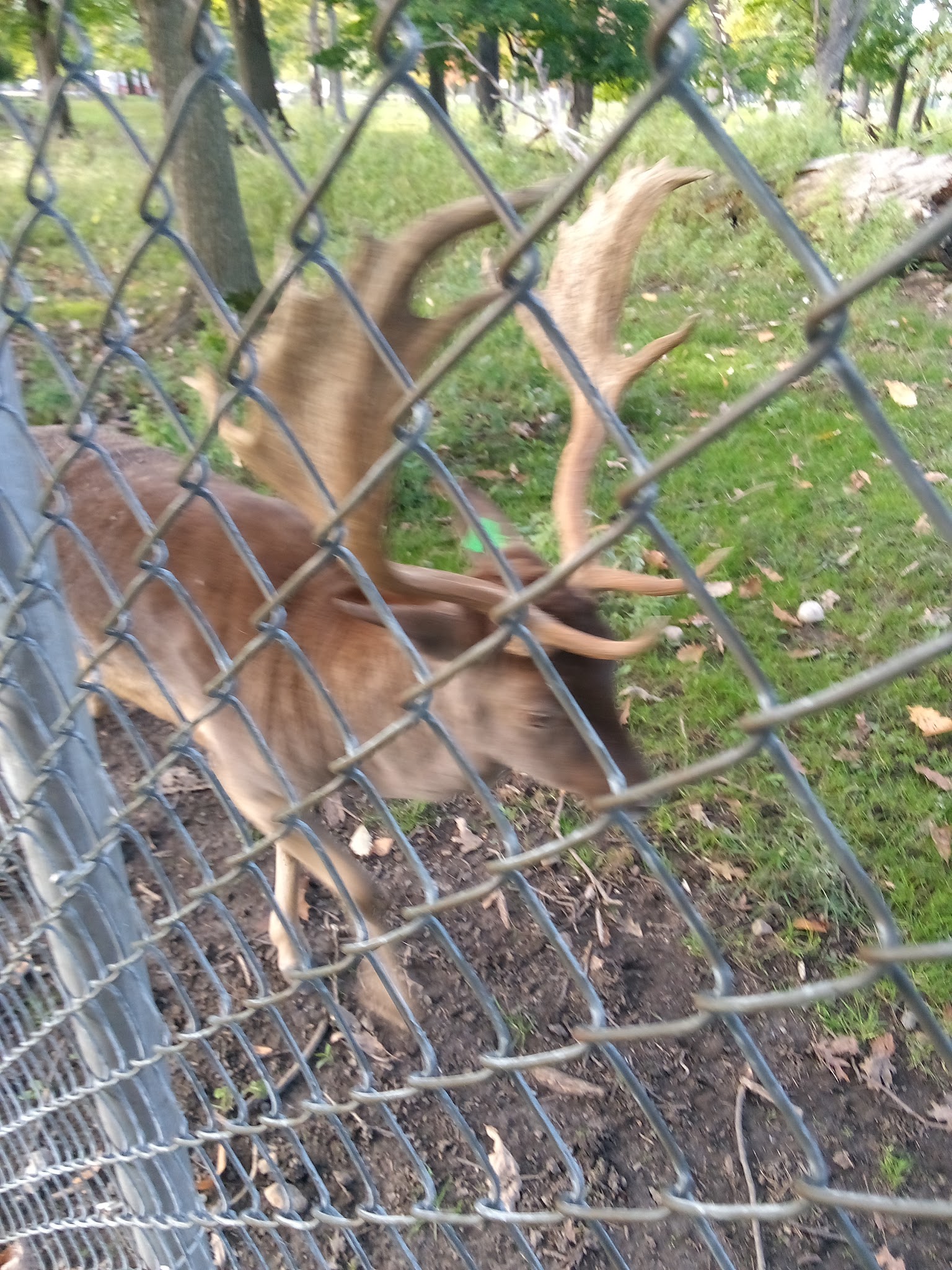 Eagle Bridge - Eagle Bridge, NY