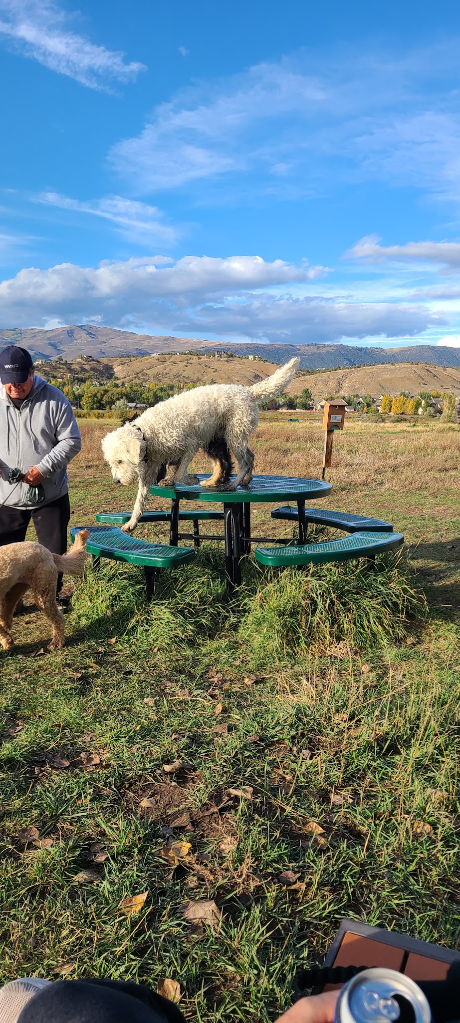 Town of Eagle Dog Park - Eagle, CO