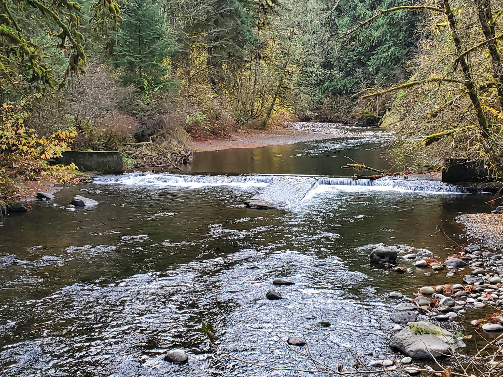 Eagle Fern Park - Eagle Creek, OR