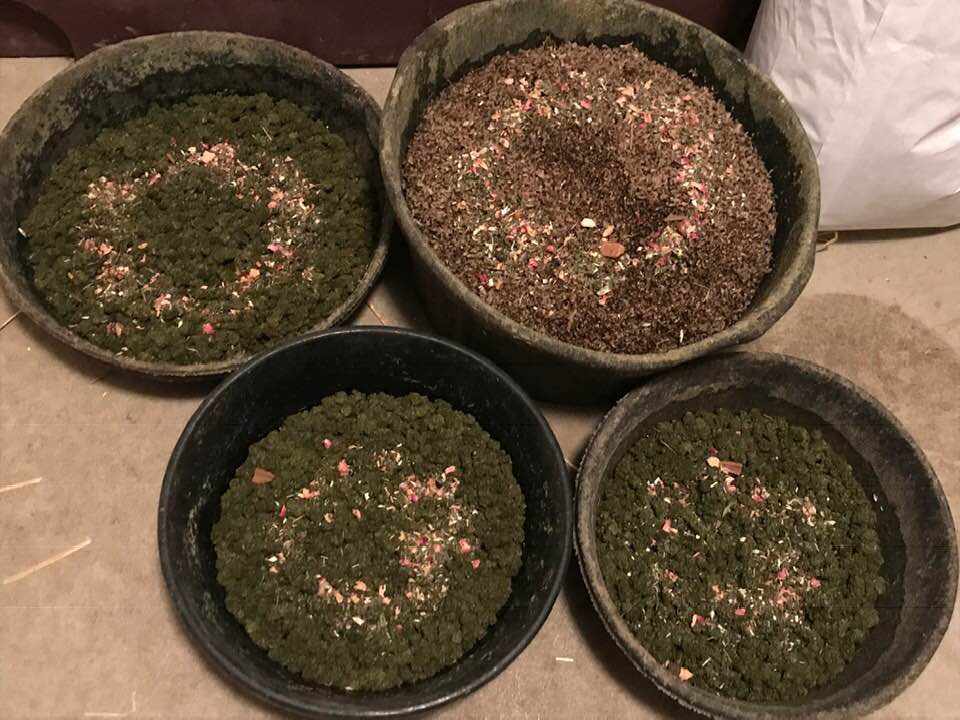 Earth Song Ranch - Natural Horse Supplements, Herbs and Probiotics - ,