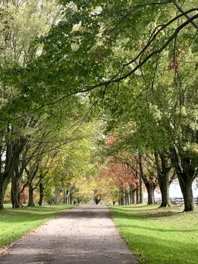 Knox Farm State Park - East Aurora, NY