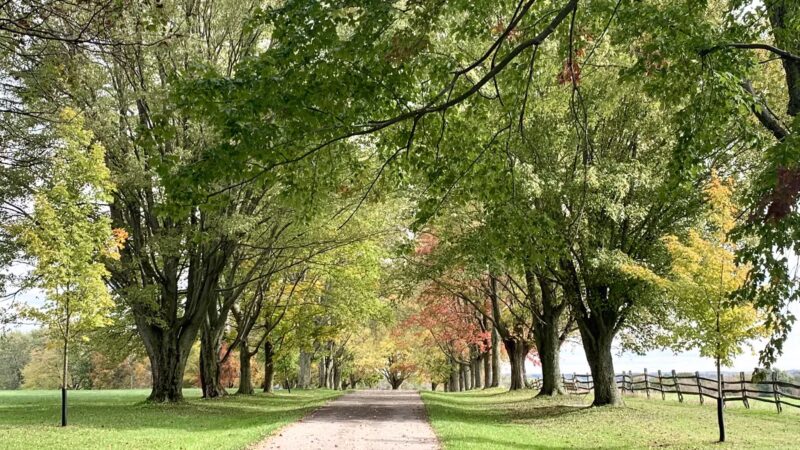 Knox Farm State Park - East Aurora, NY