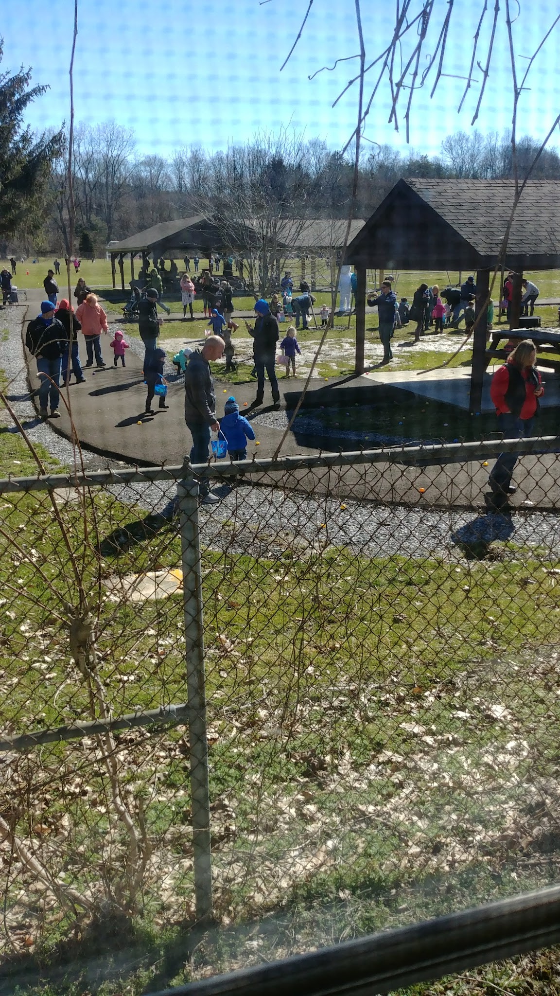 Wales Town Park - East Aurora, NY