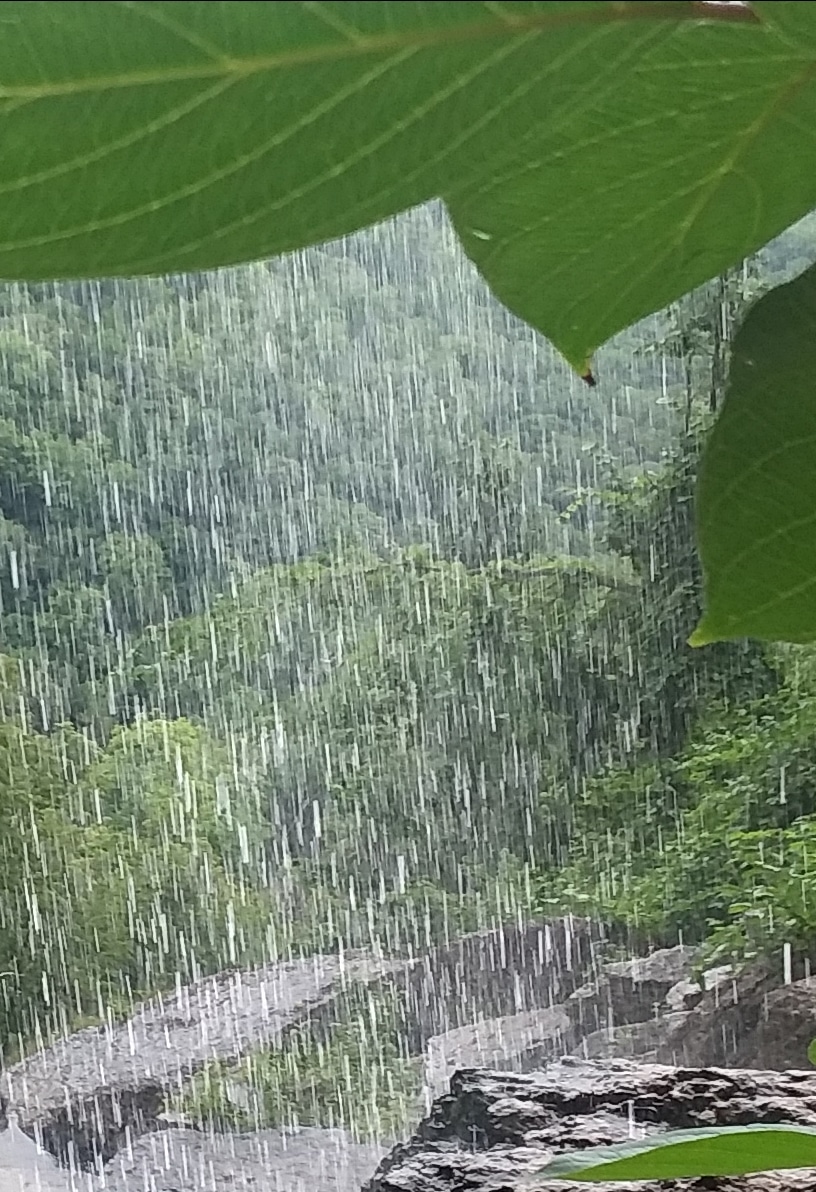 Thacher Park Rock Formation - East Berne, NY