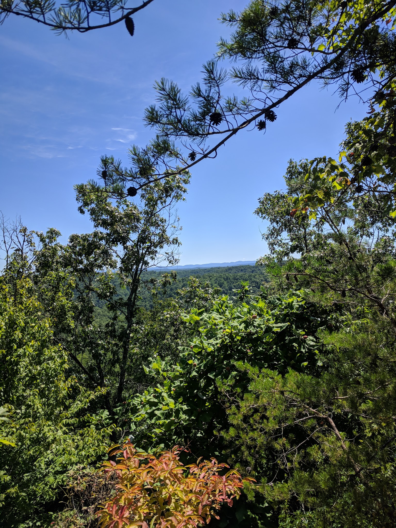 Sheltowee Trace National Recreation Trail - East Bernstadt, KY