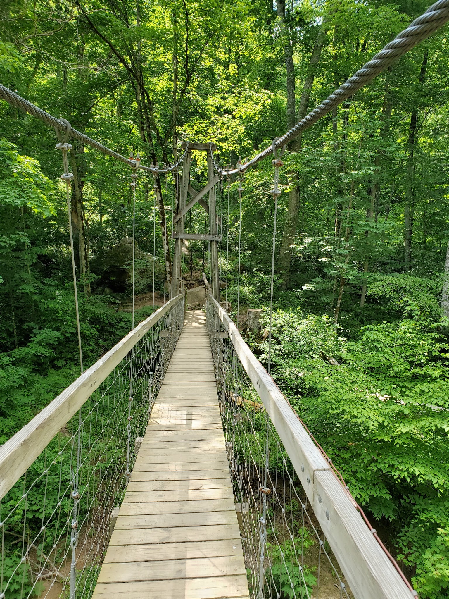 Sheltowee Trace National Recreation Trail - East Bernstadt, KY