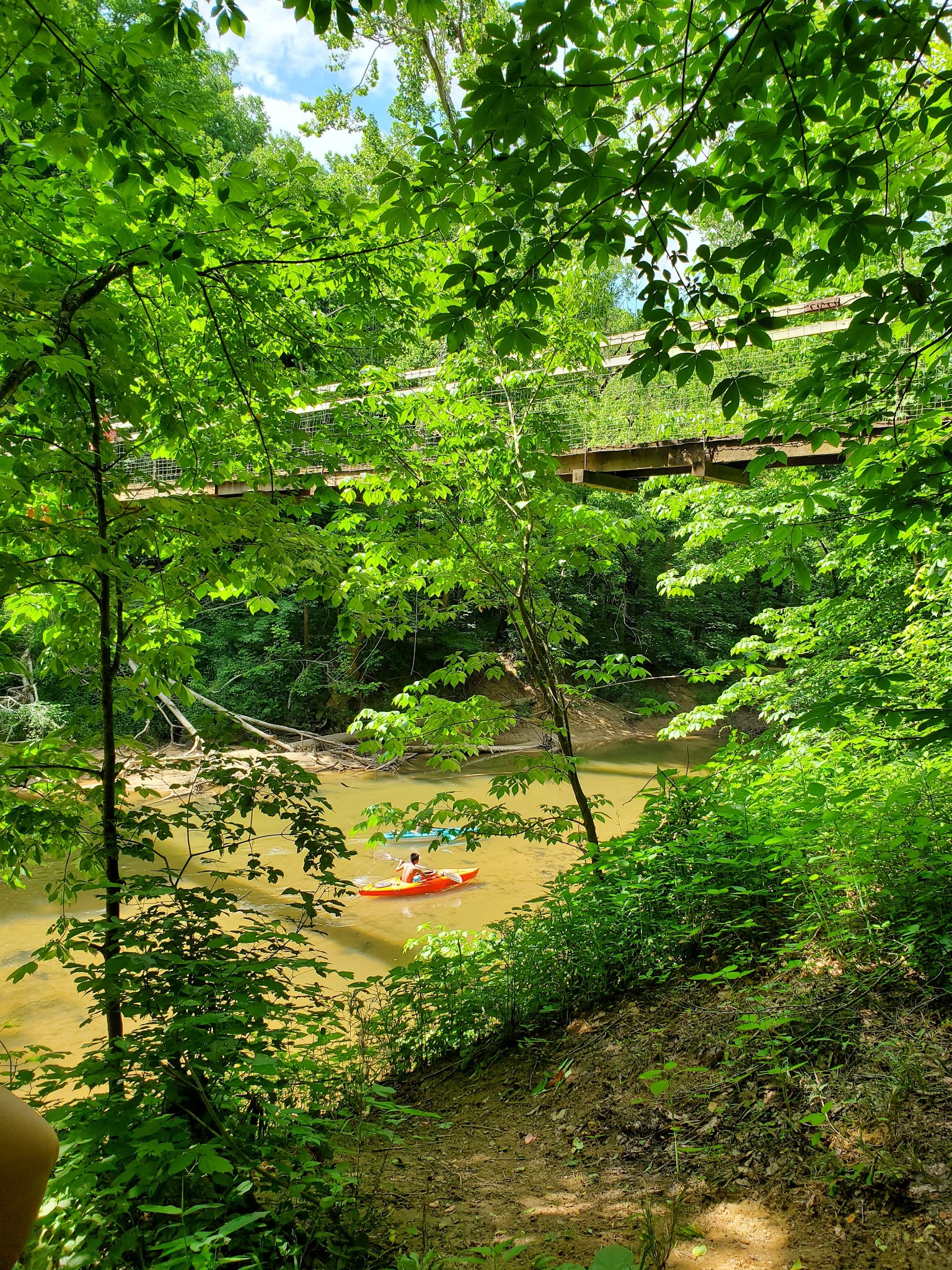 Sheltowee Trace National Recreation Trail - East Bernstadt, KY