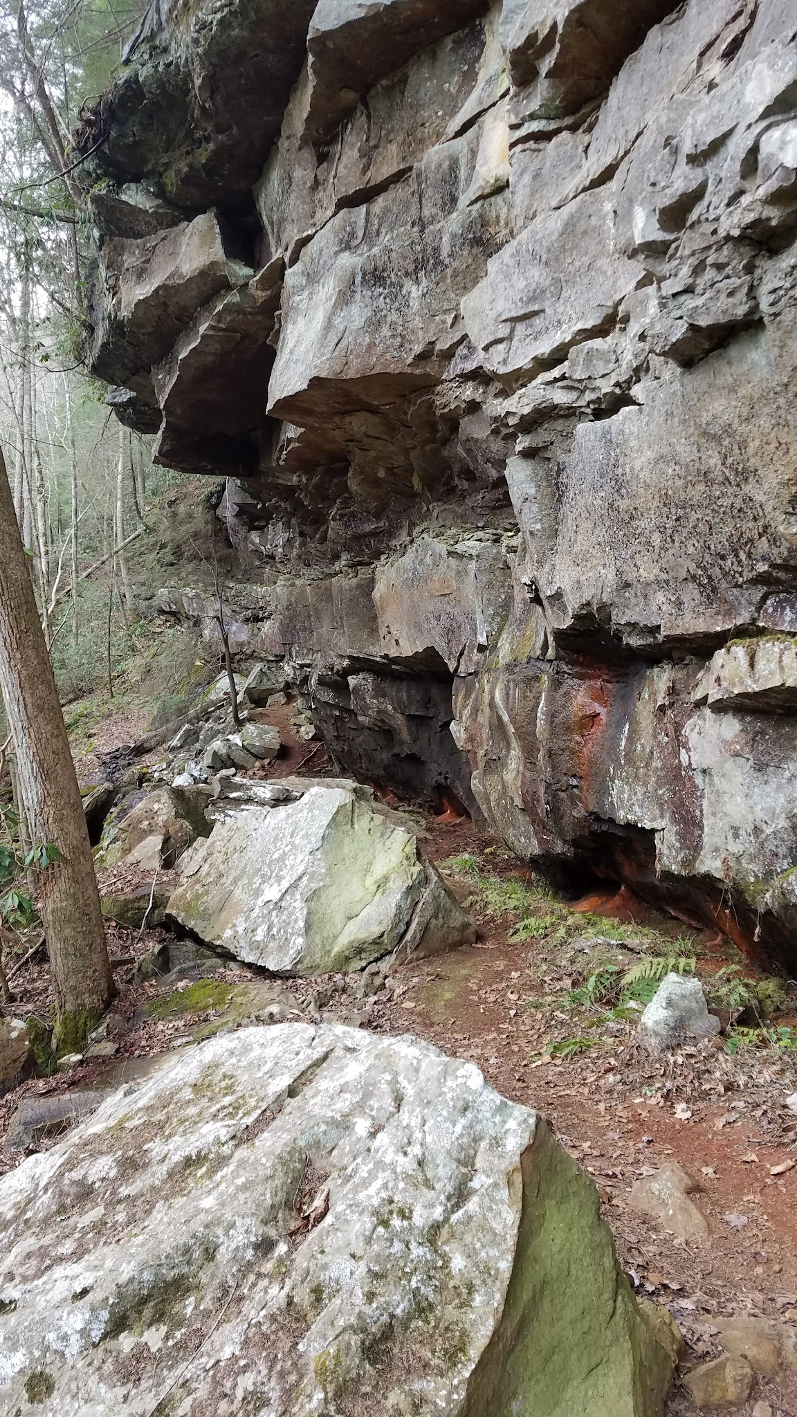 Sheltowee Trace National Recreation Trail - East Bernstadt, KY