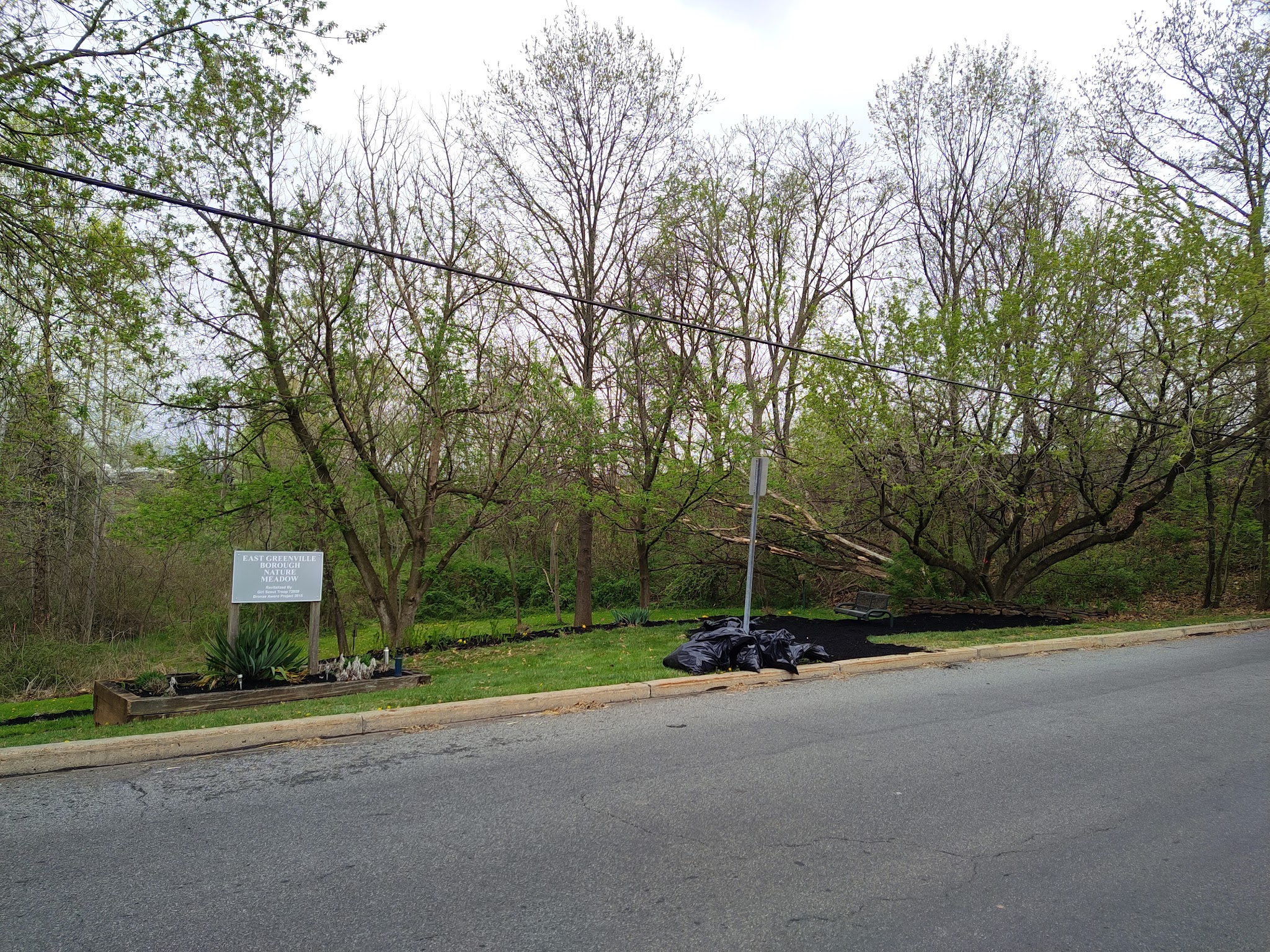 East Greenville Borough Nature Meadow - East Greenville, PA