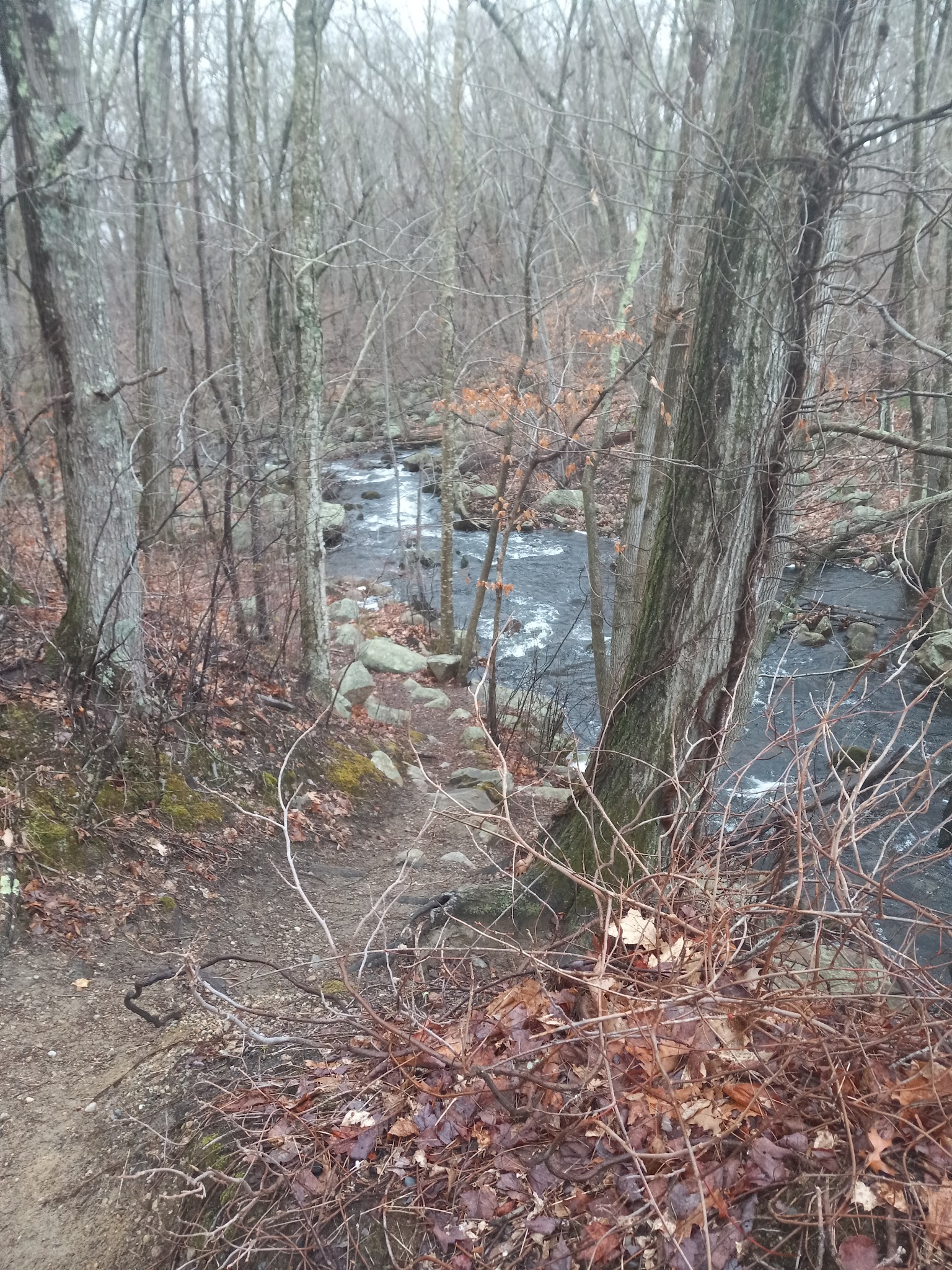 Frenchtown Park and Frye Nature Preserve - East Greenwich, RI