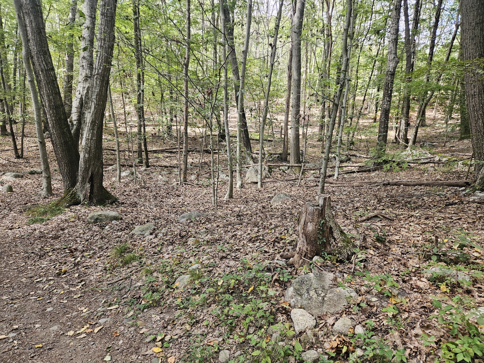 Frenchtown Park and Frye Nature Preserve - East Greenwich, RI