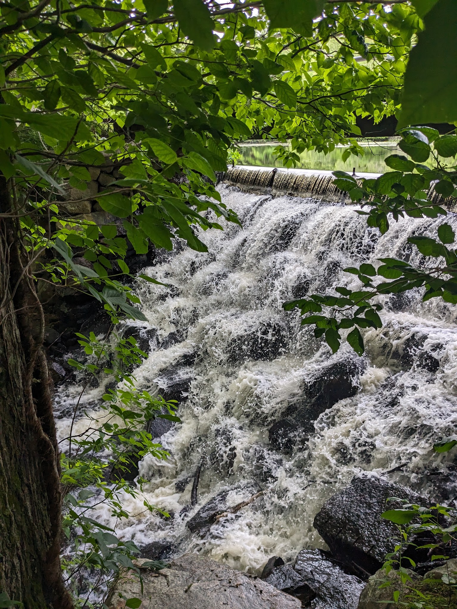 Frenchtown Park and Frye Nature Preserve - East Greenwich, RI