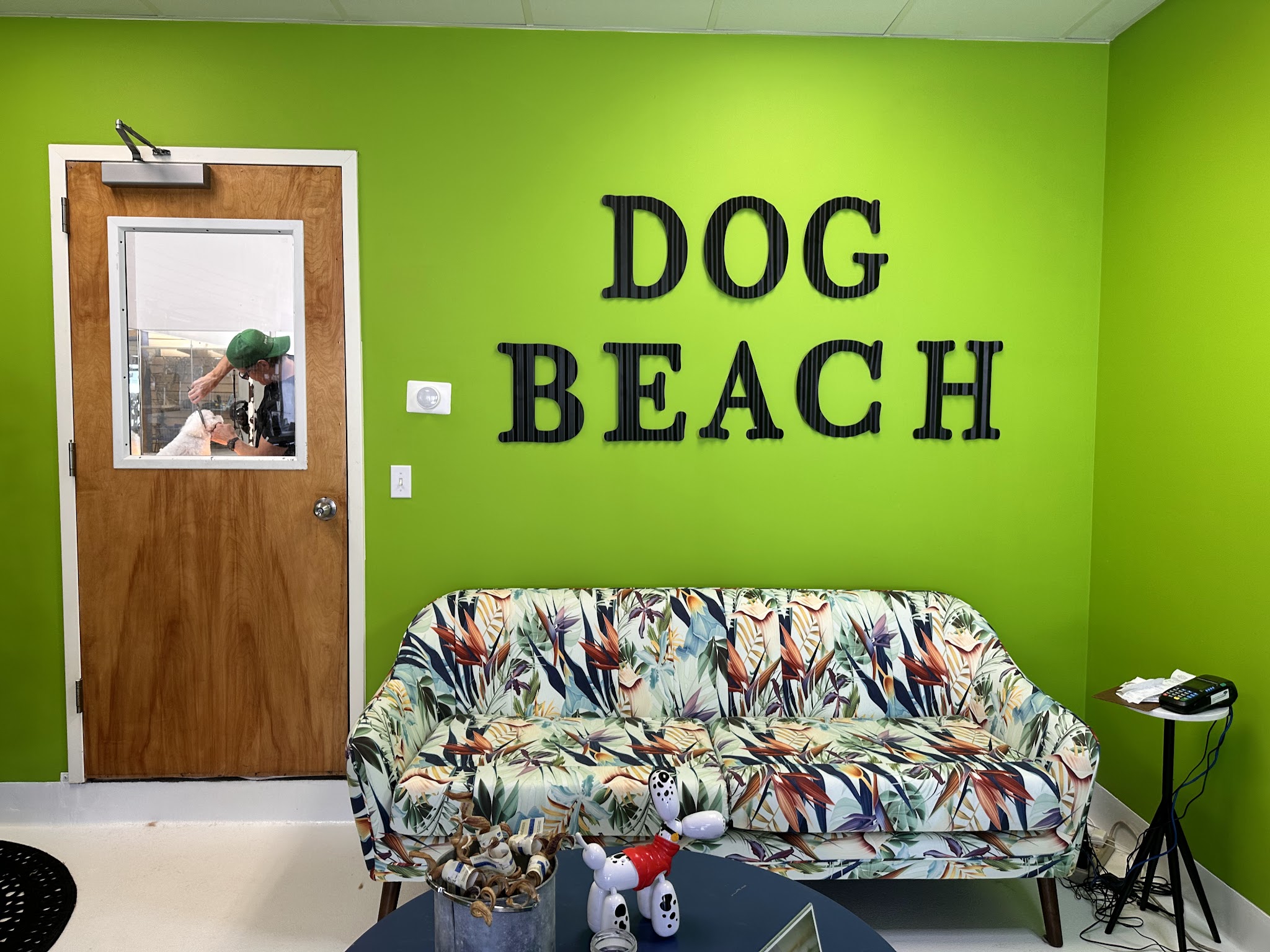 DOG BEACH HAMPTONS - East Hampton, NY