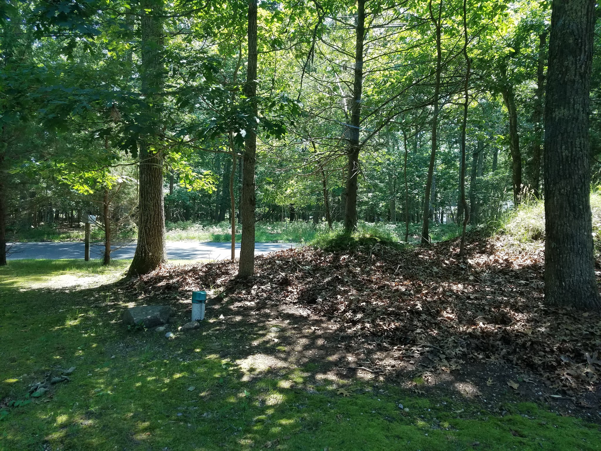 Springs Park Dog Park - East Hampton, NY