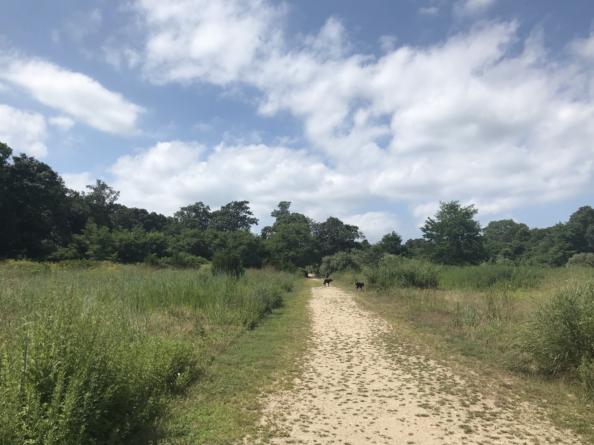 Springs Park Dog Park - East Hampton, NY