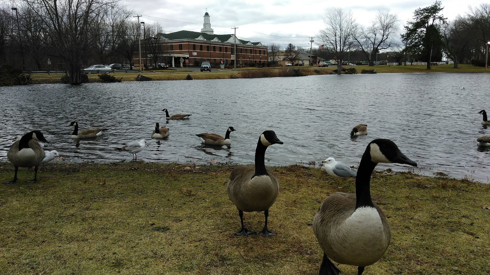 Heritage Park - East Longmeadow, MA