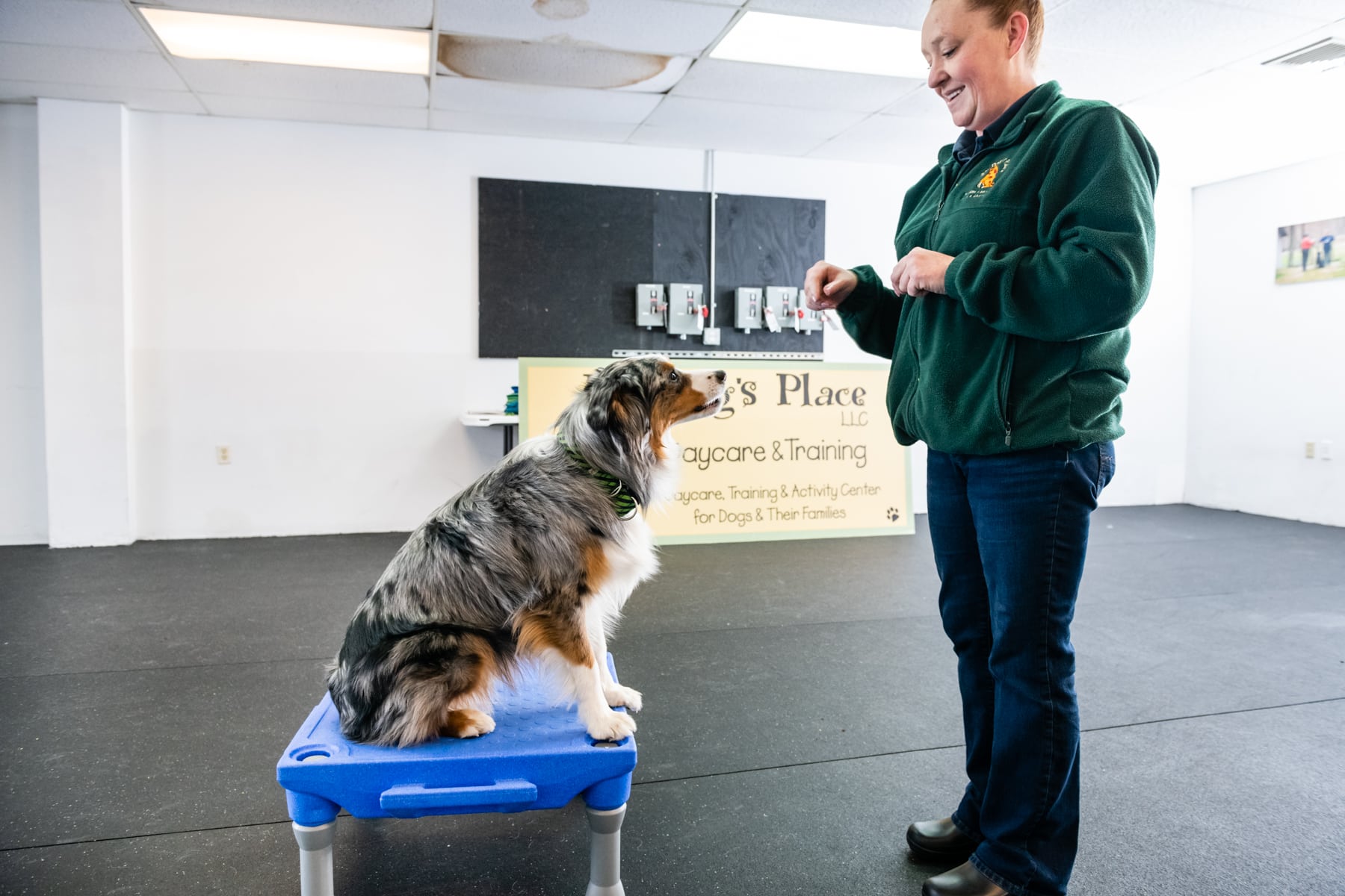 My Dog's Place LLC - East Lyme, CT