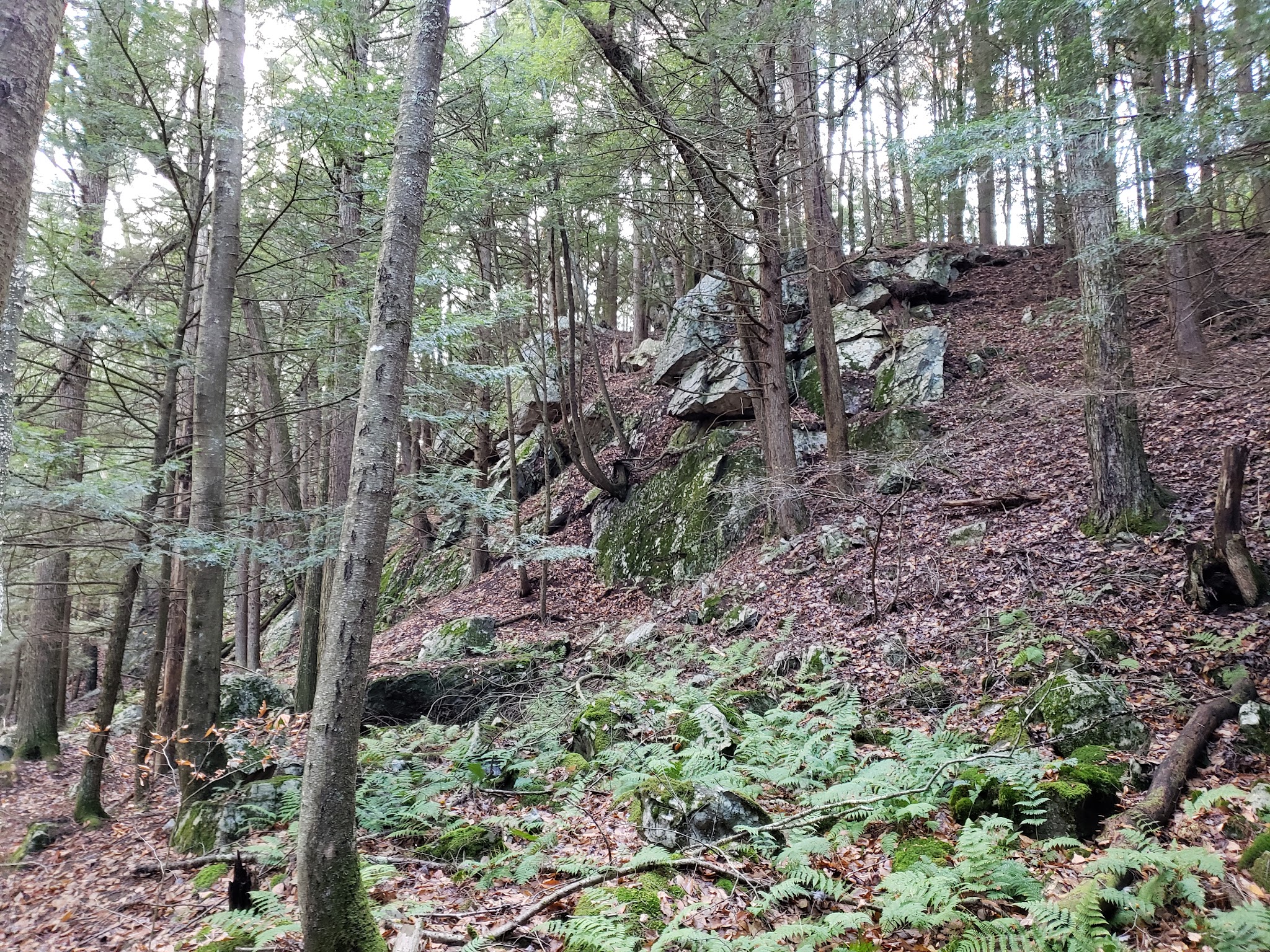 Kinderhook Creek Nature Preserve - East Nassau, NY
