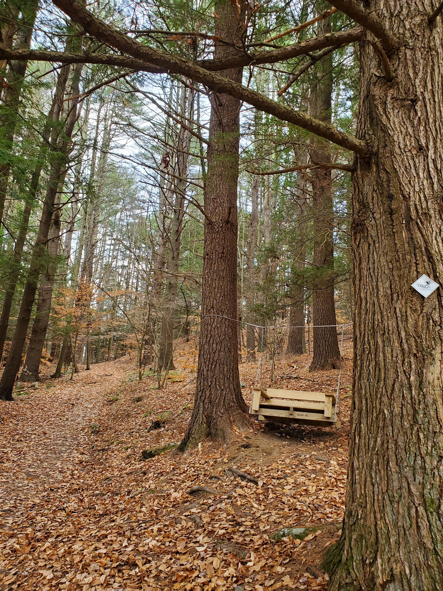 Kinderhook Creek Nature Preserve - East Nassau, NY