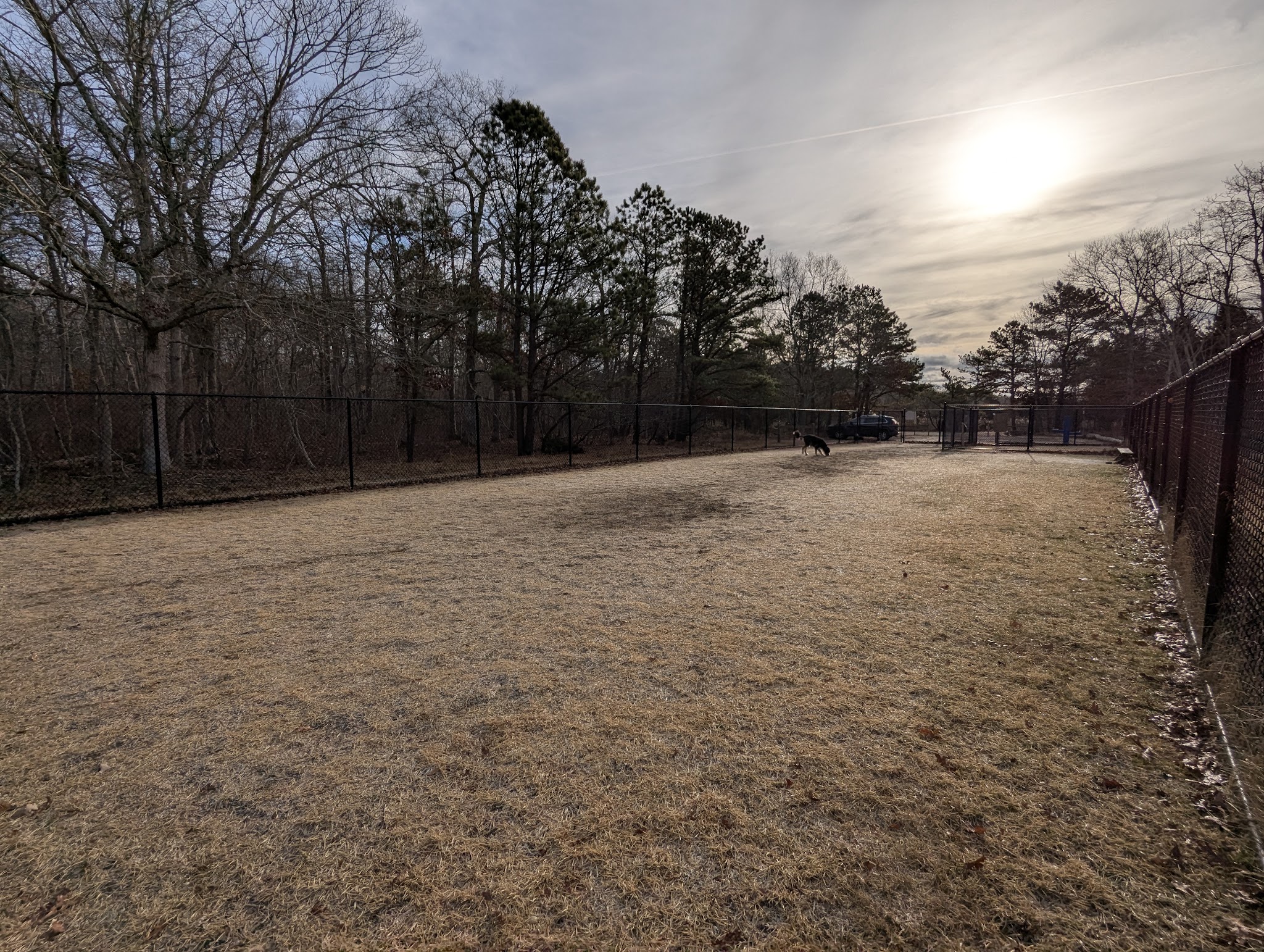 Dog Park - East Quogue, NY