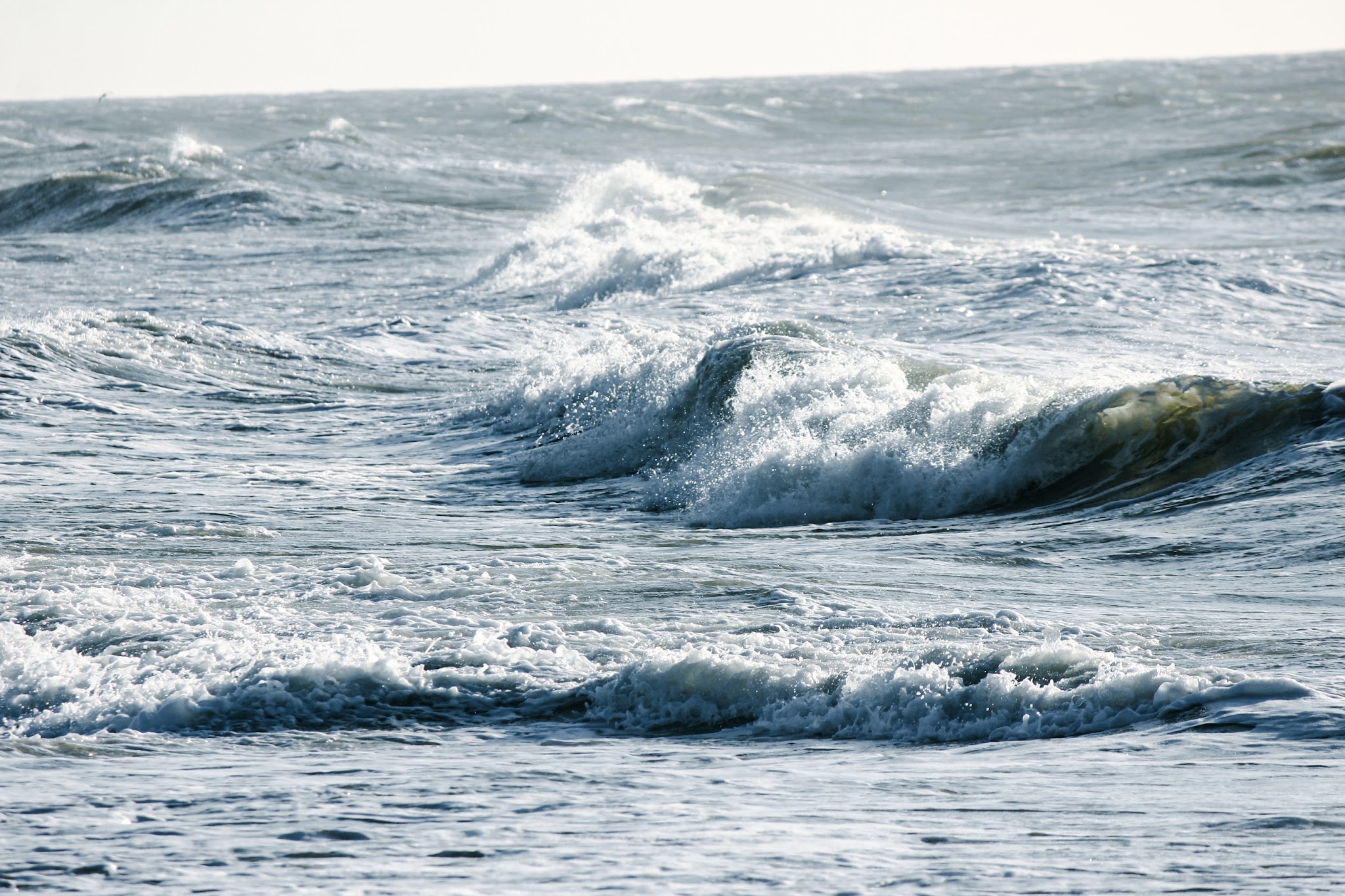 Dolphin Beach - East Quogue, NY