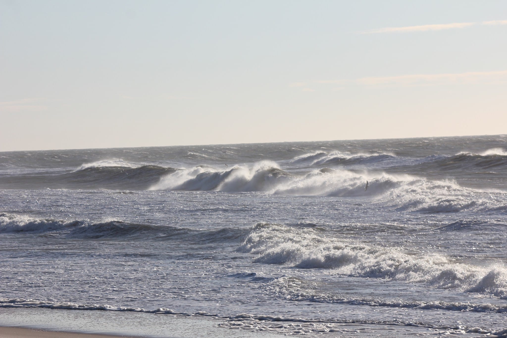 Dolphin Beach - East Quogue, NY