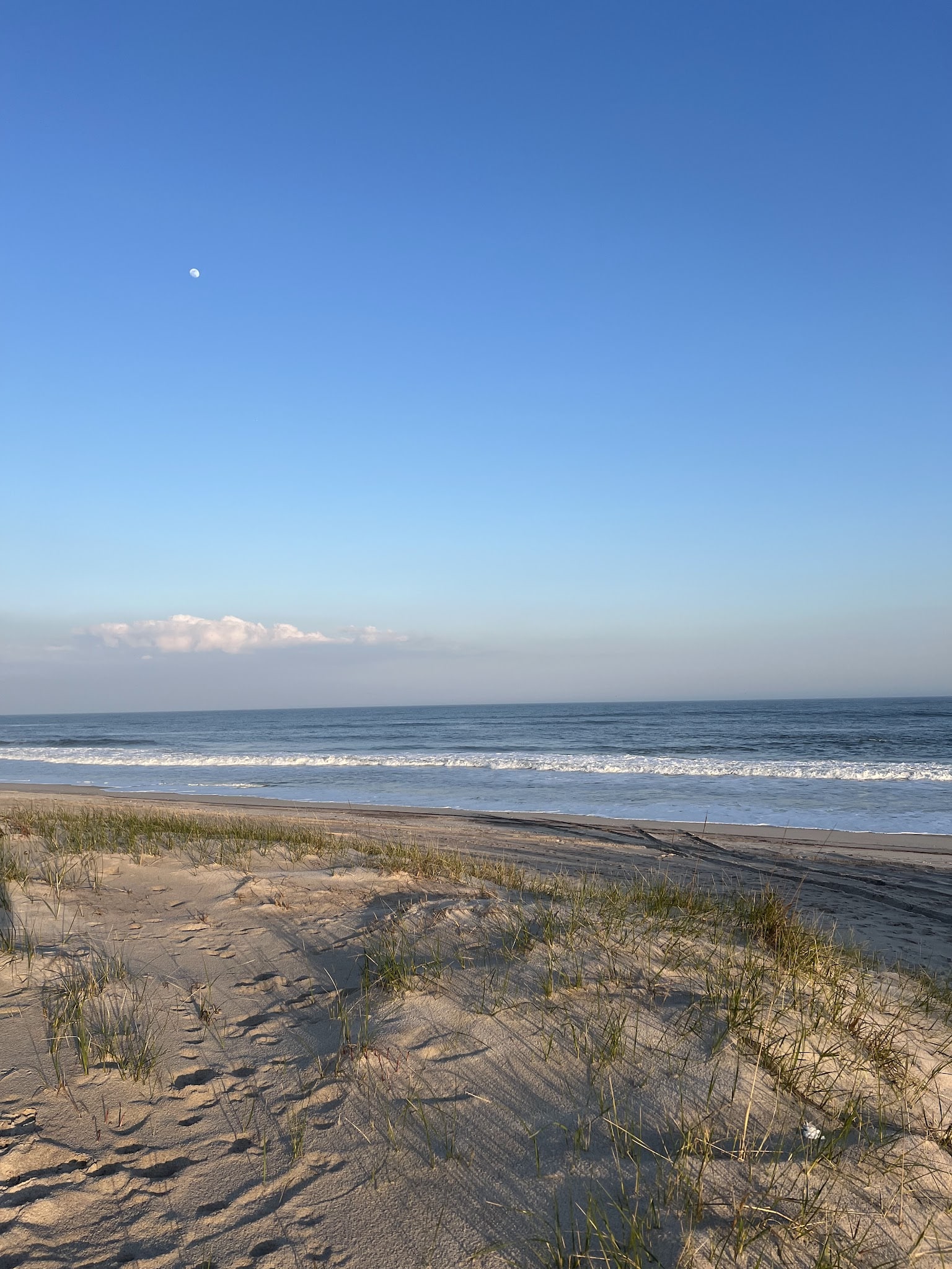Dolphin Beach - East Quogue, NY