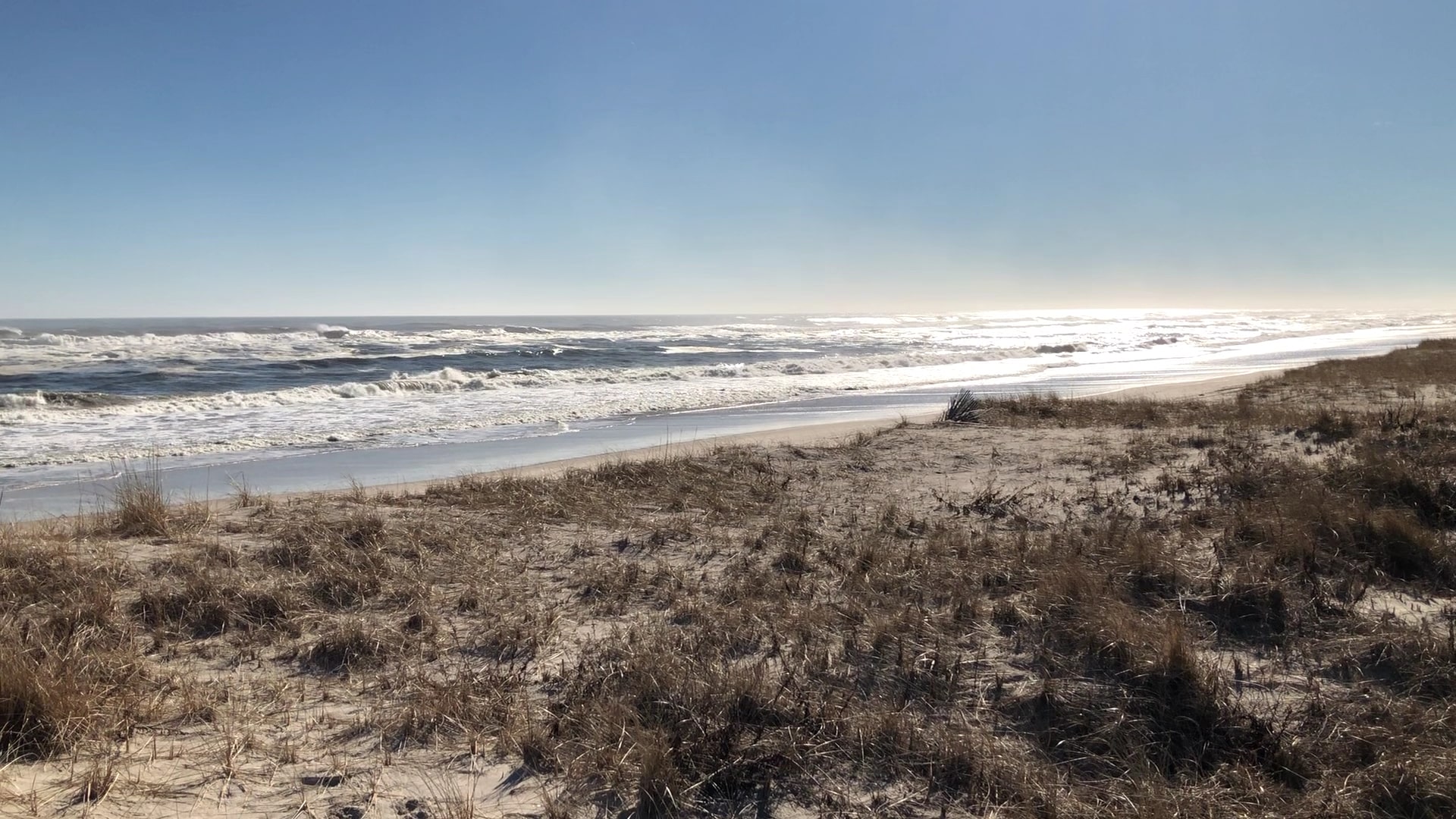 Hot Dog Beach - East Quogue, NY