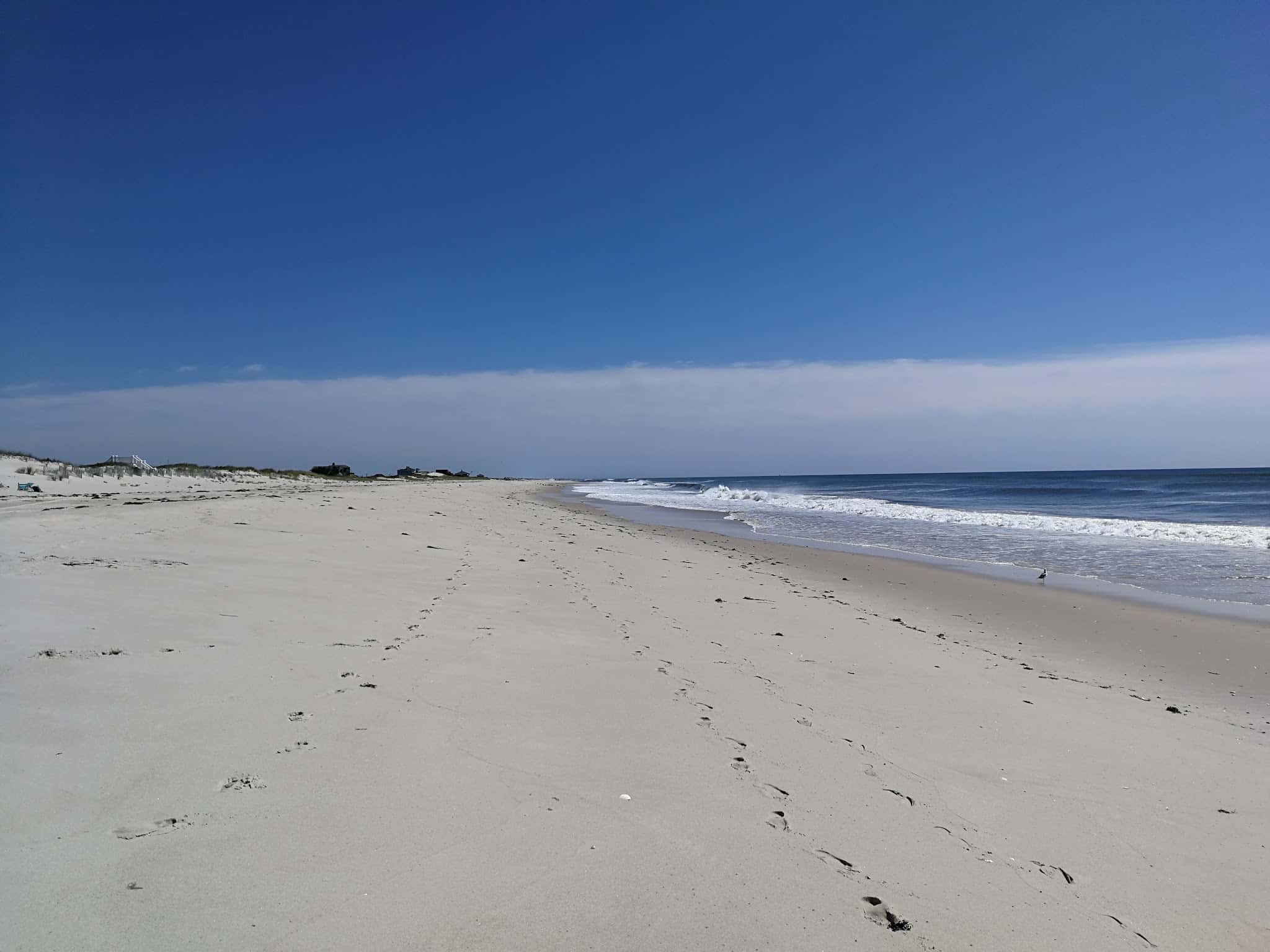 Hot Dog Beach - East Quogue, NY