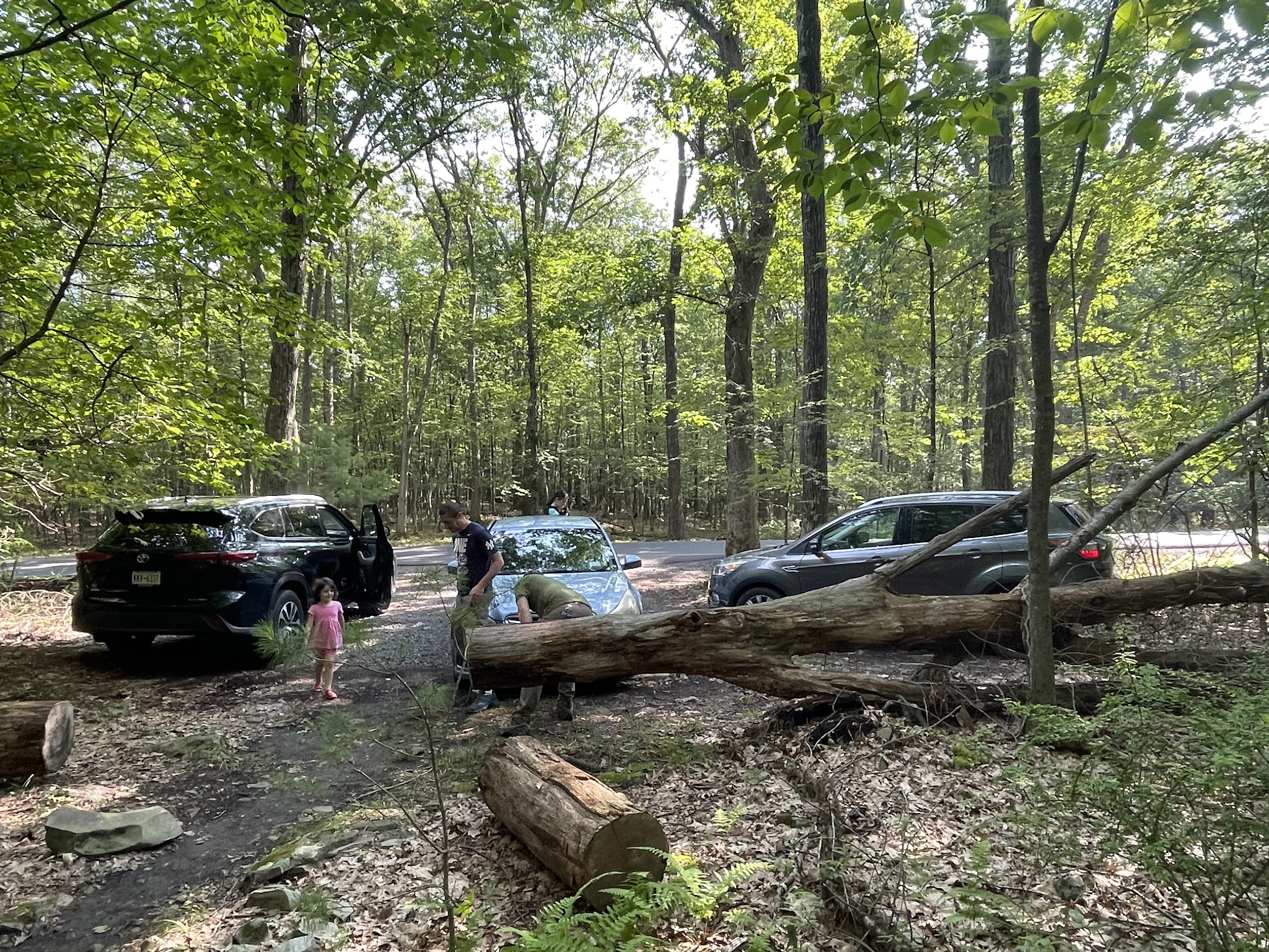 Fernridge trail loop - East Stroudsburg, PA
