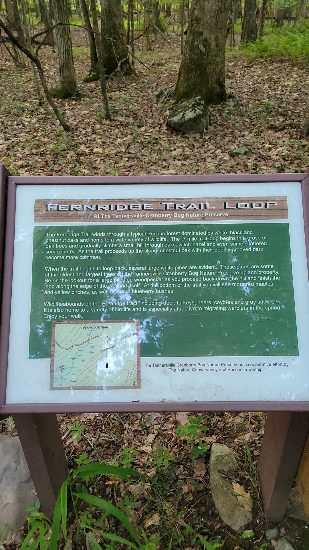 Fernridge trail loop - East Stroudsburg, PA