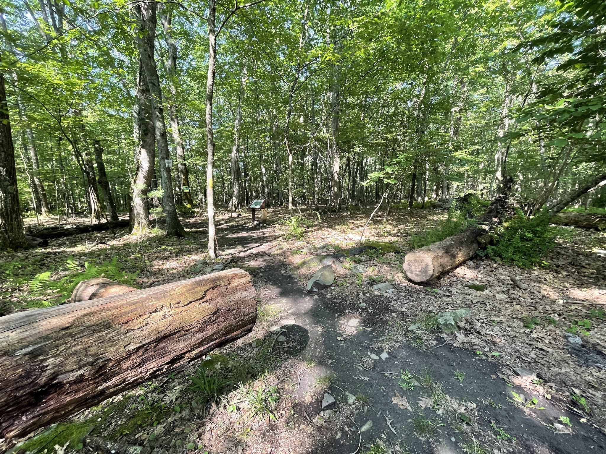 Fernridge trail loop - East Stroudsburg, PA