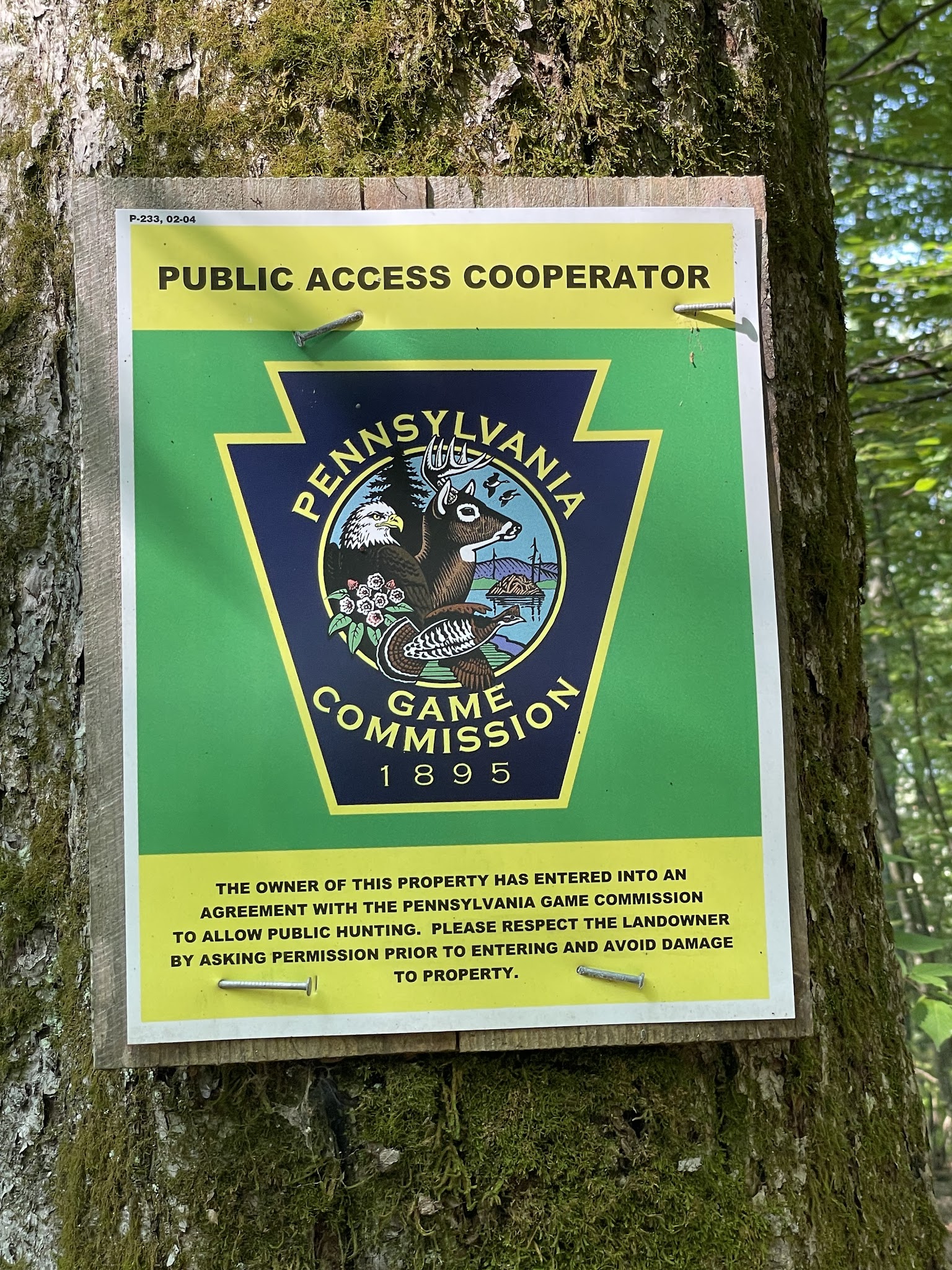 Fernridge trail loop - East Stroudsburg, PA