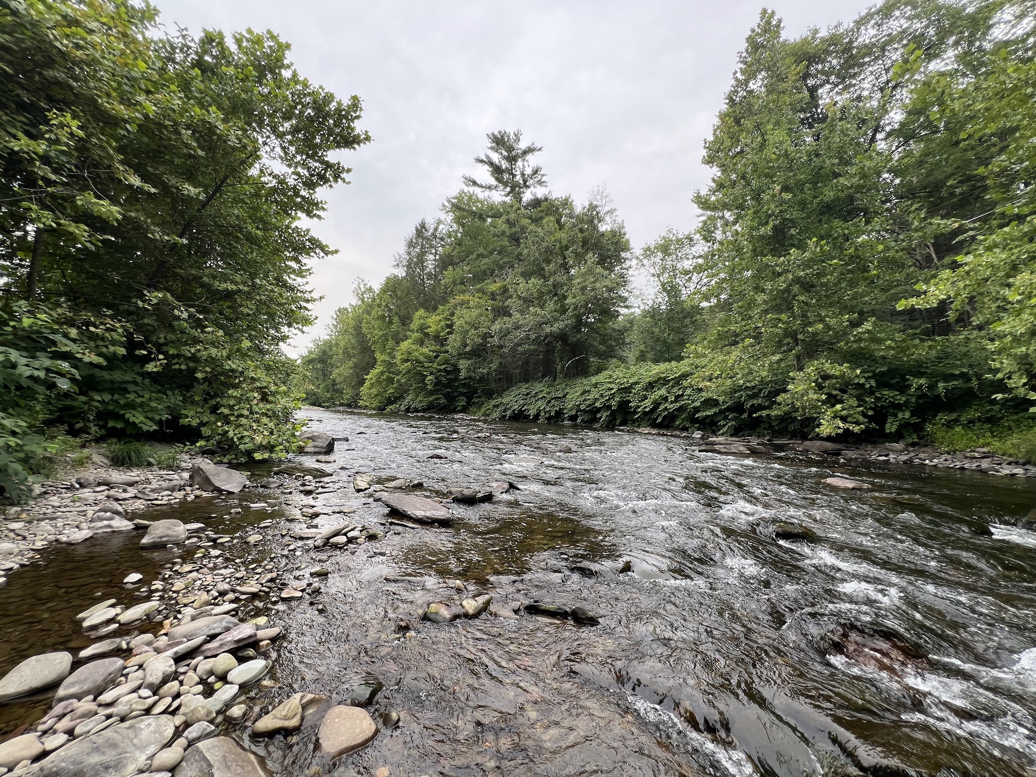 ForEvergreen Nature Preserve - East Stroudsburg, PA