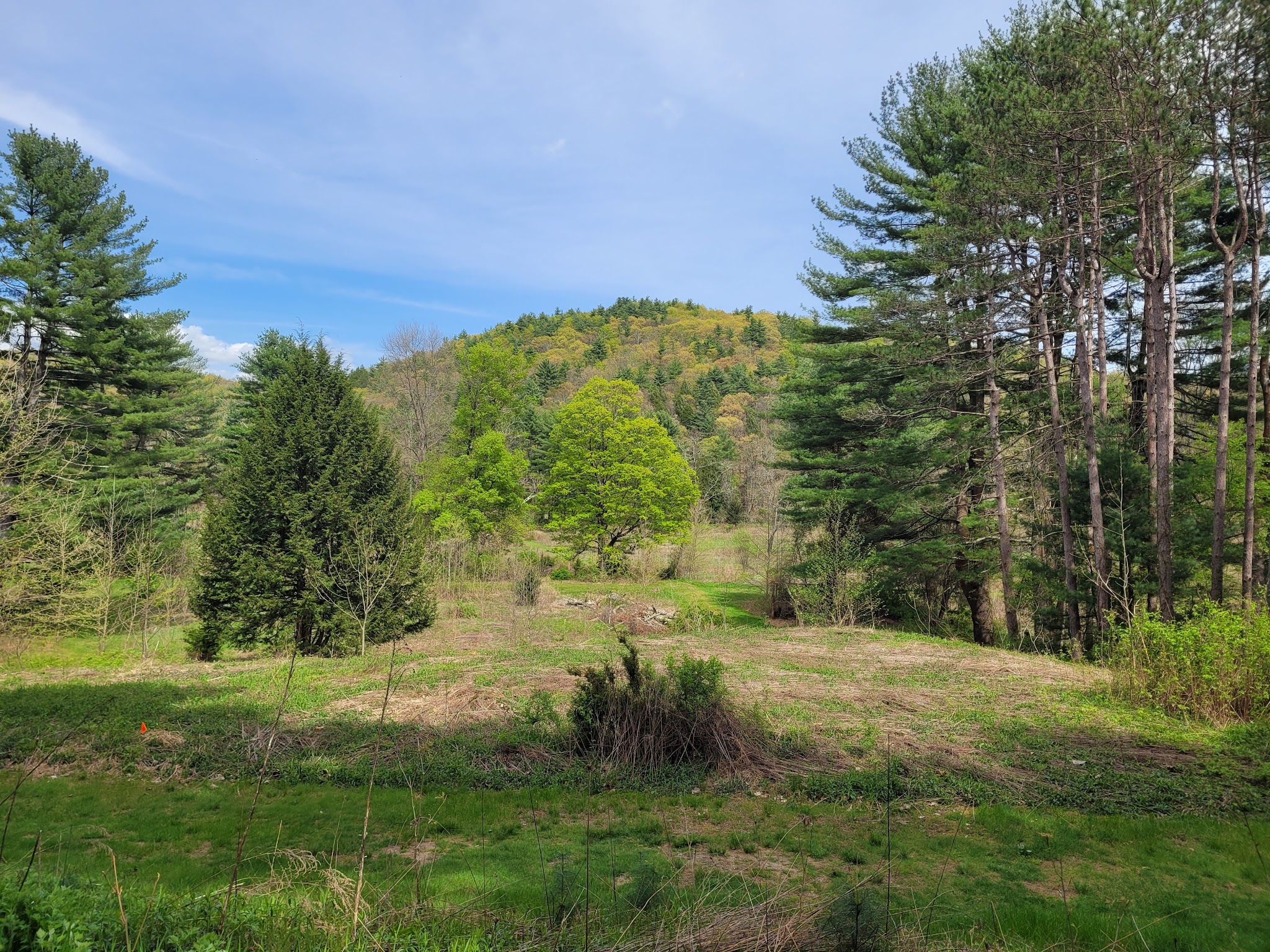 ForEvergreen Nature Preserve - East Stroudsburg, PA