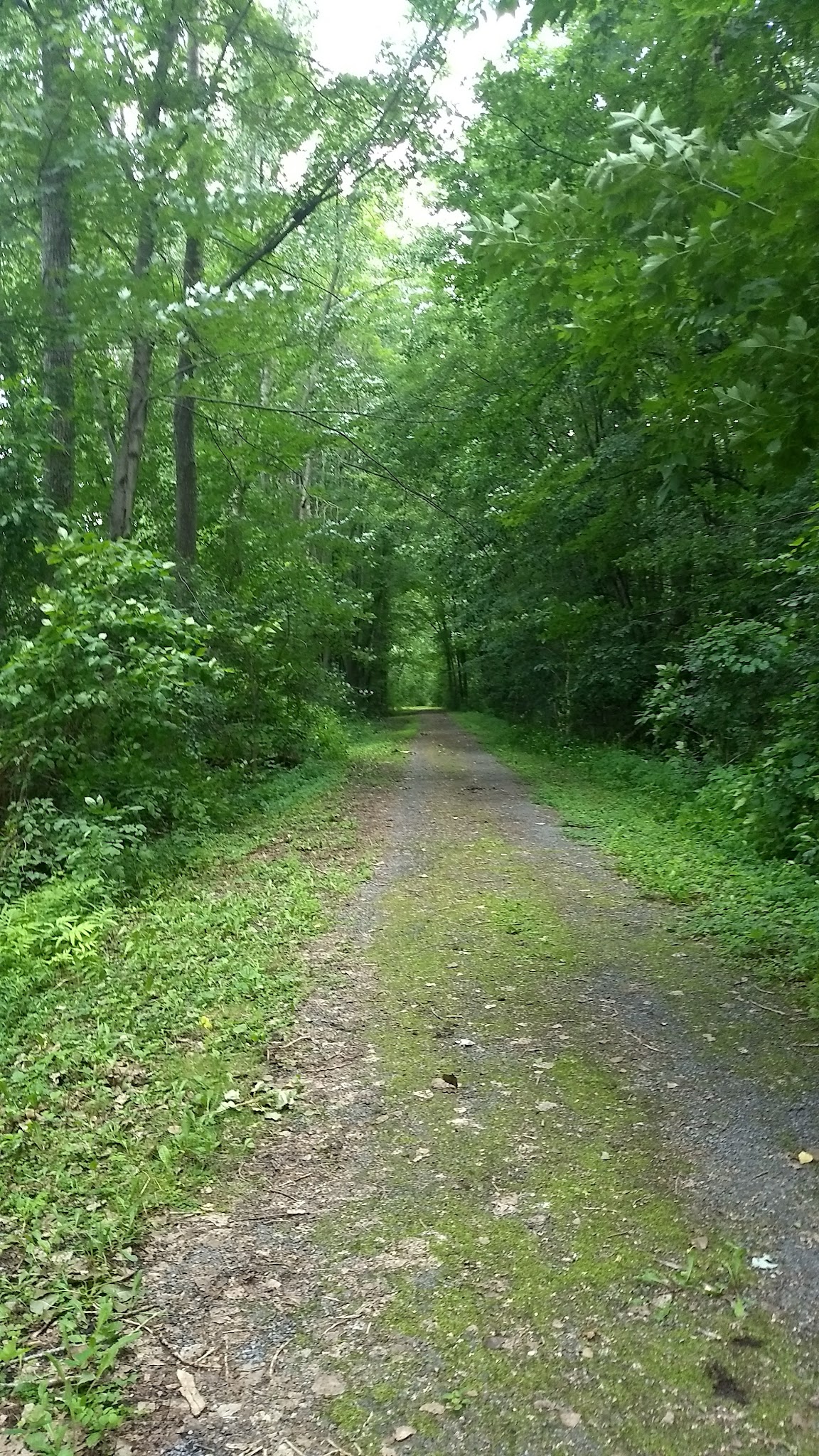 Maxwell Park - East Syracuse, NY