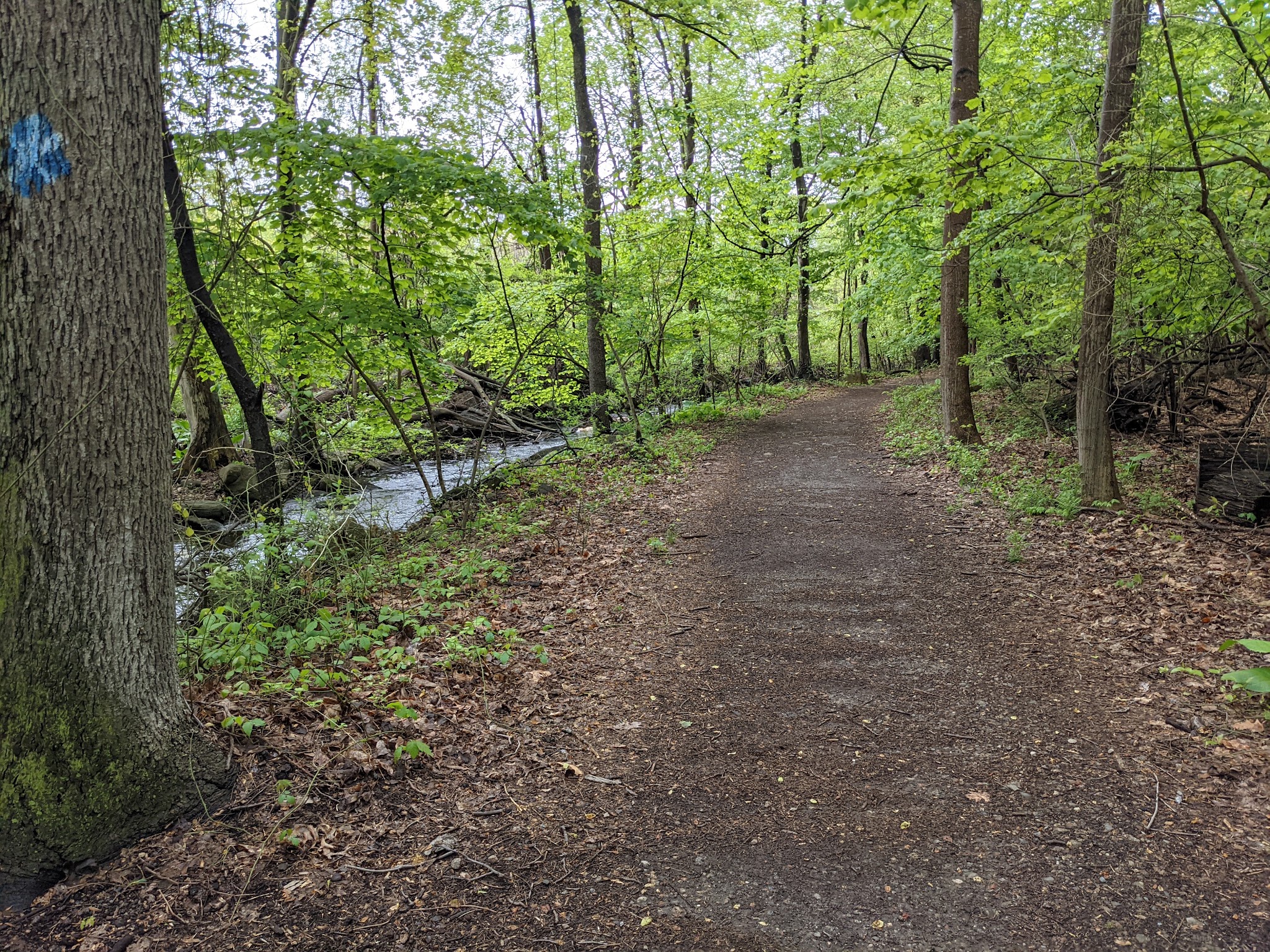 Twin Lakes County Park - Eastchester, NY