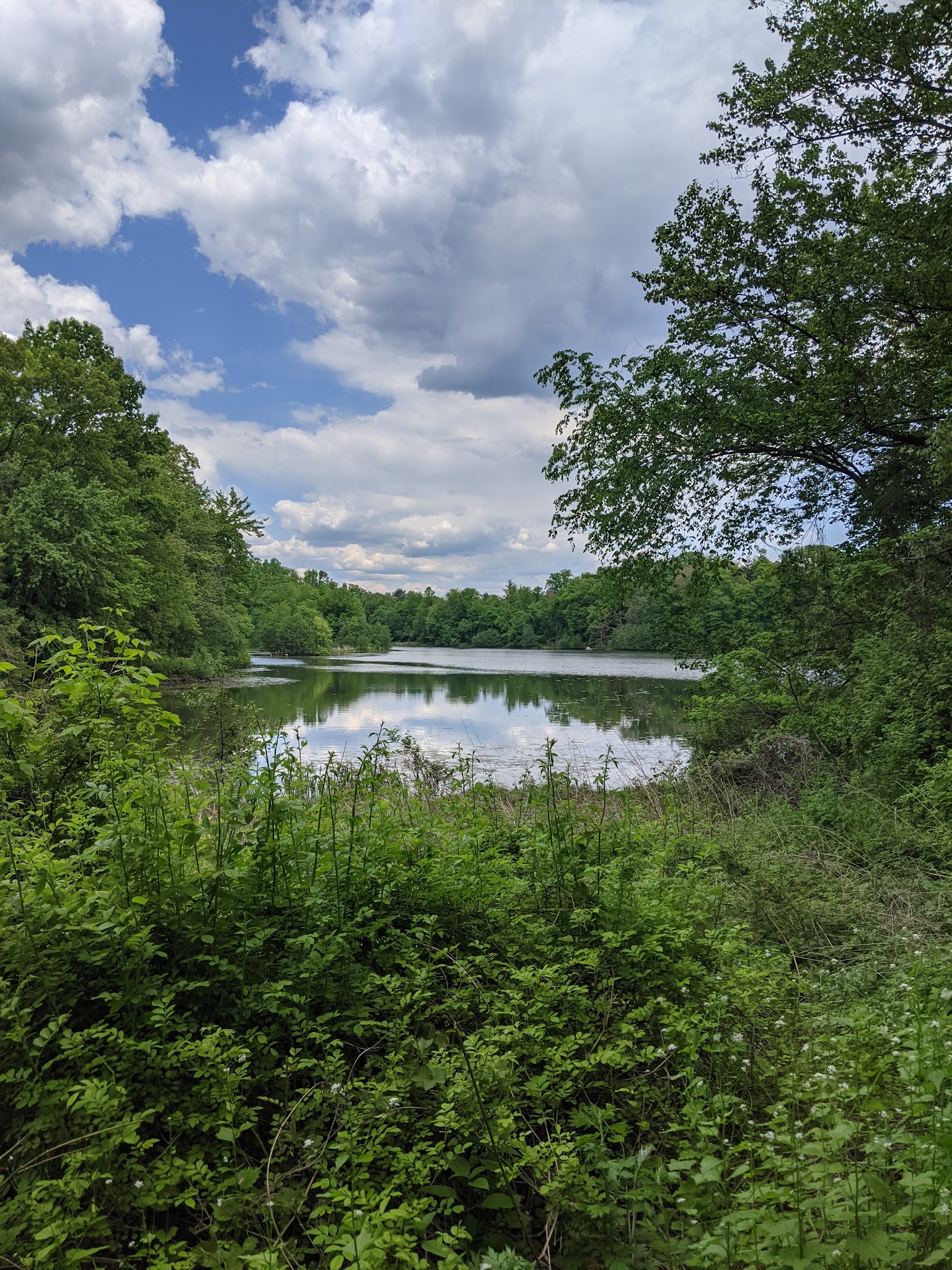 Twin Lakes County Park - Eastchester, NY