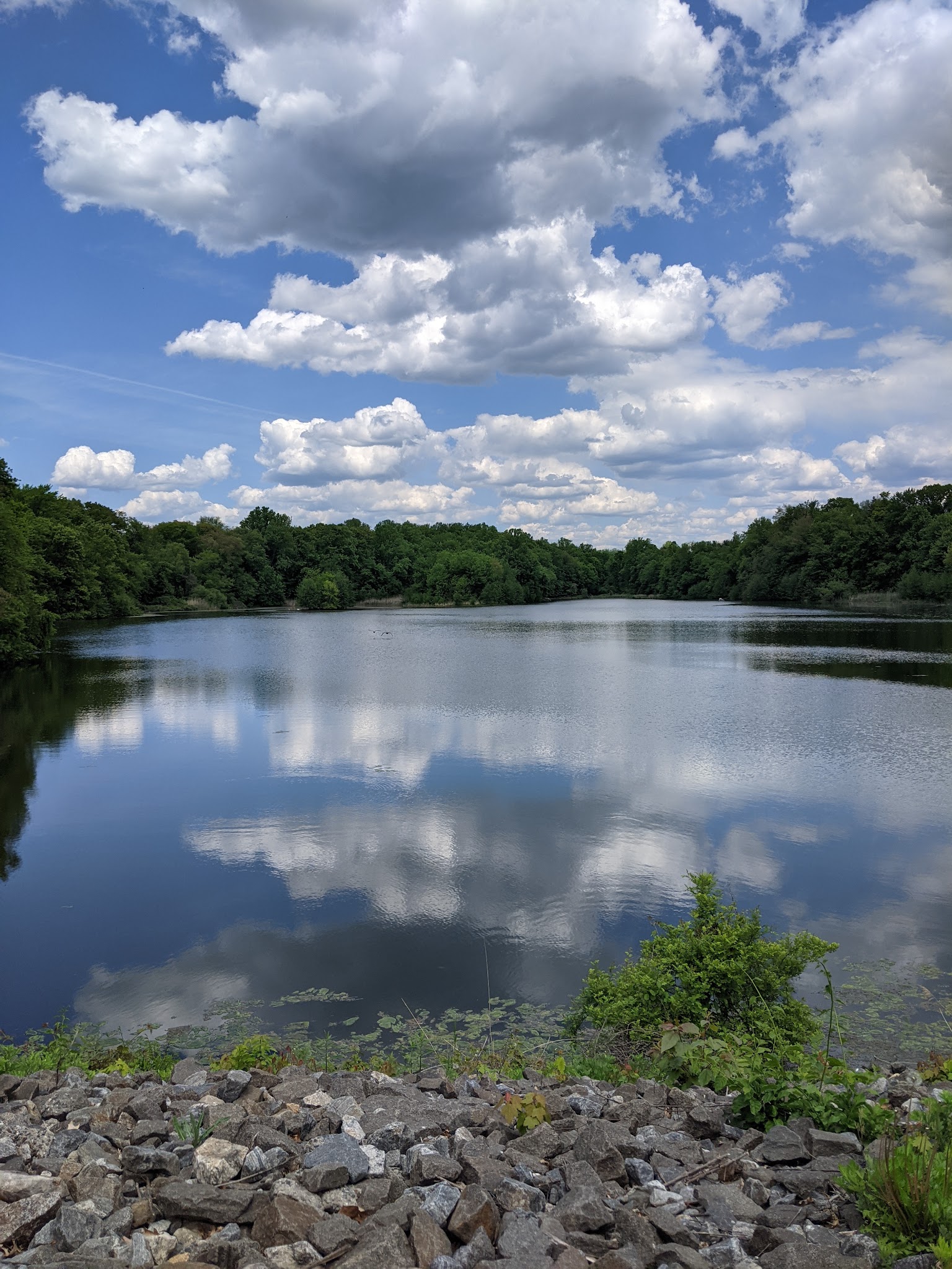 Twin Lakes County Park - Eastchester, NY