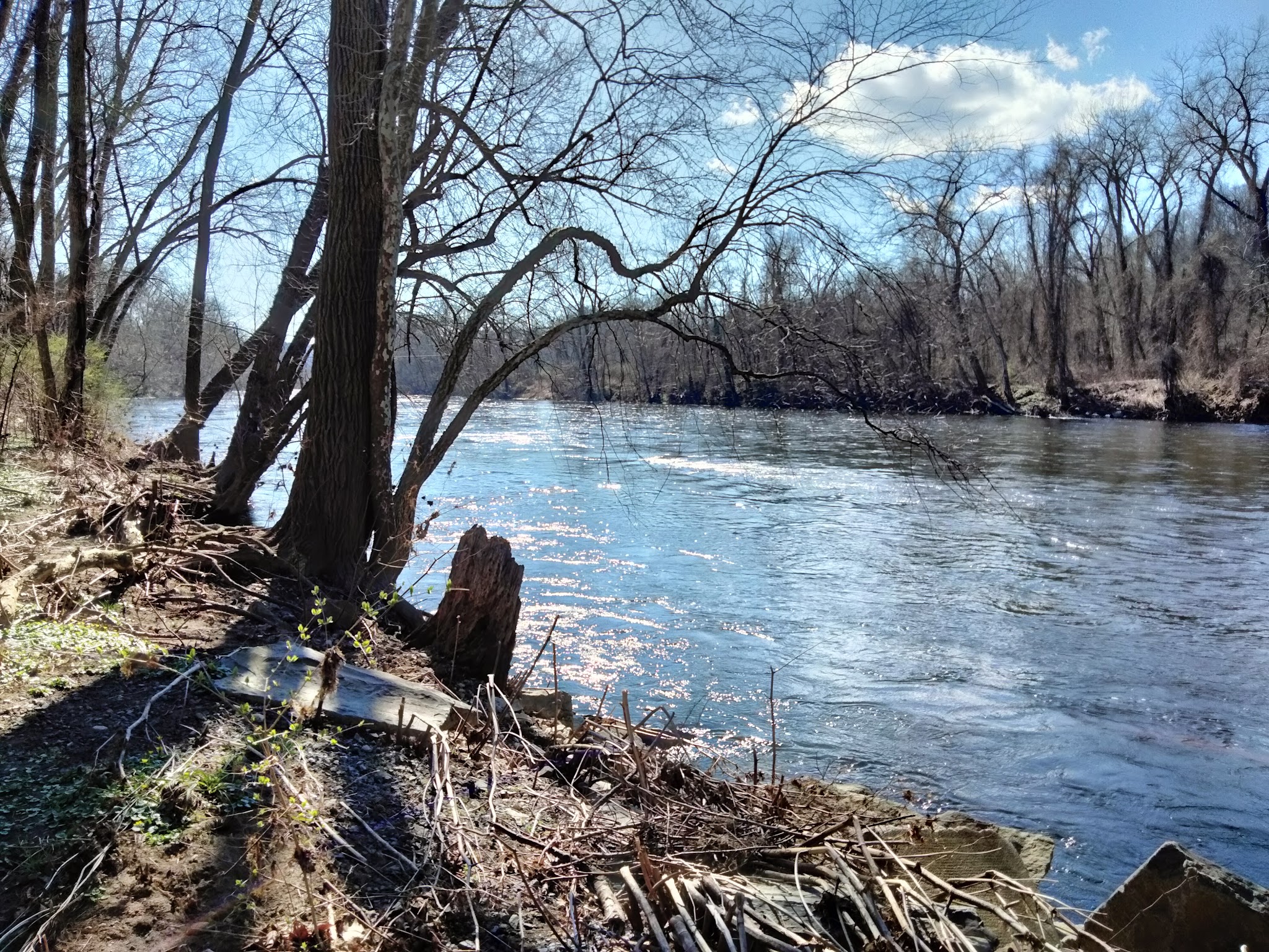 Hugh Moore Park - Easton, PA