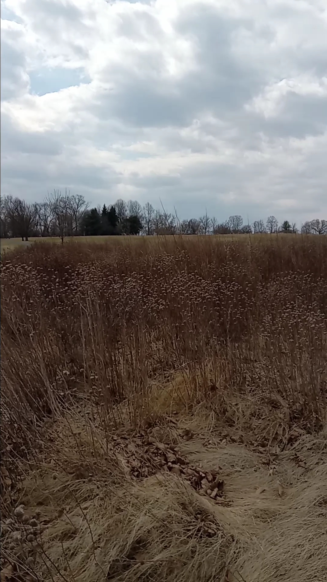 Louise Moore County park trailhead - Easton, PA
