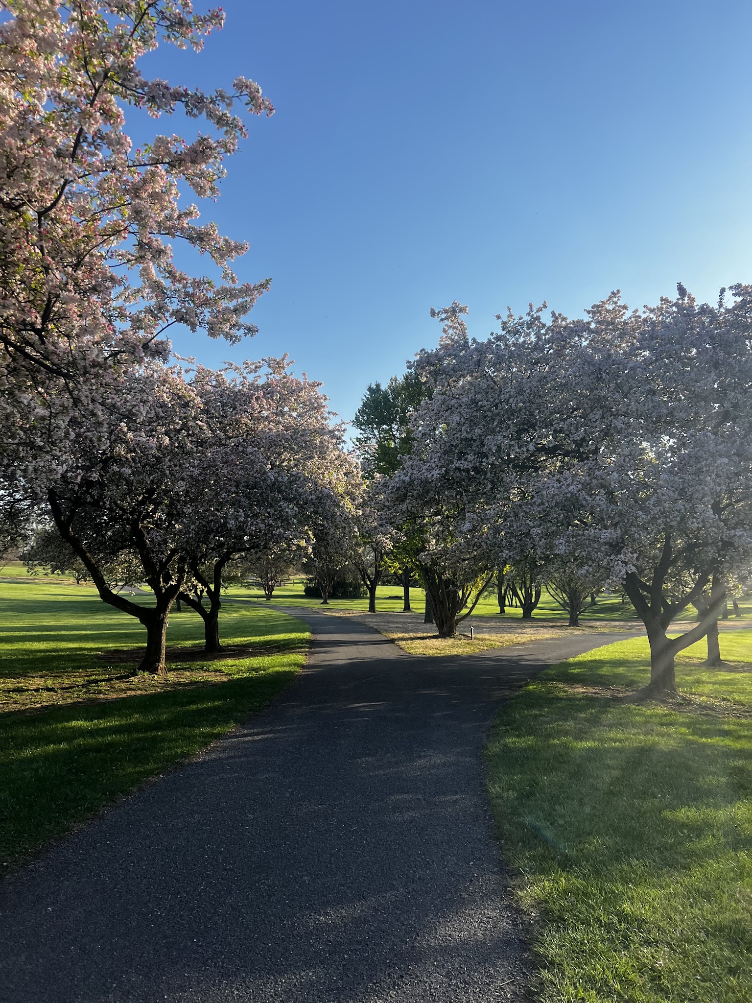 Louise Moore County park trailhead - Easton, PA