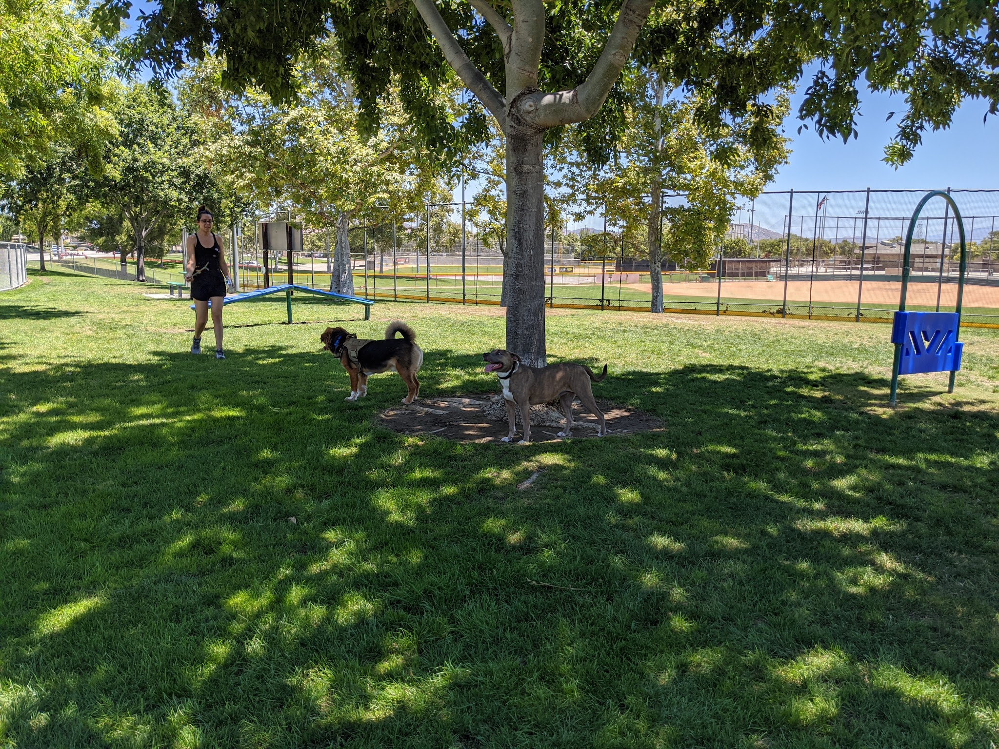 Harada Dog Park - Eastvale, CA