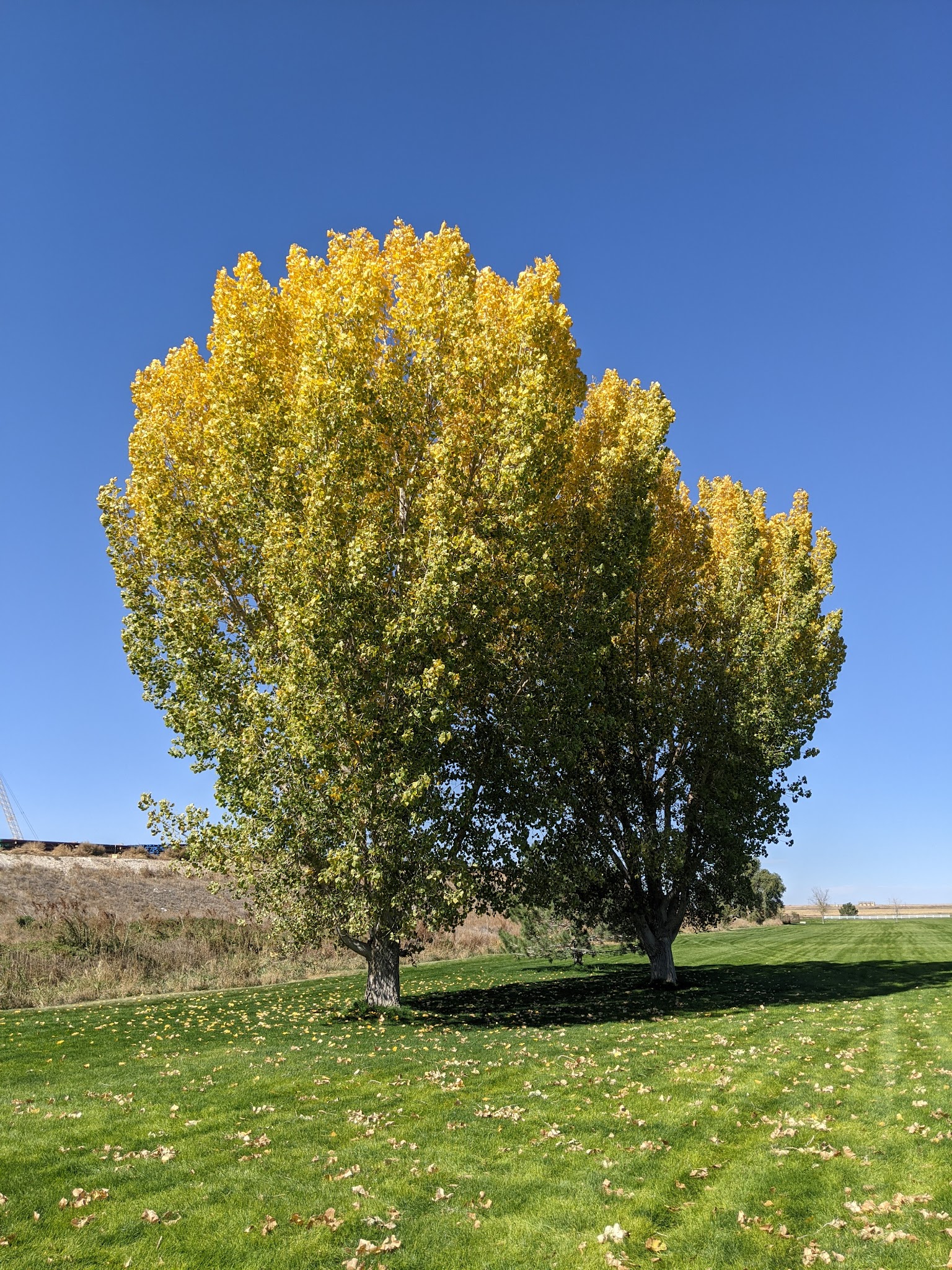 Eaton Commons Park - Eaton, CO