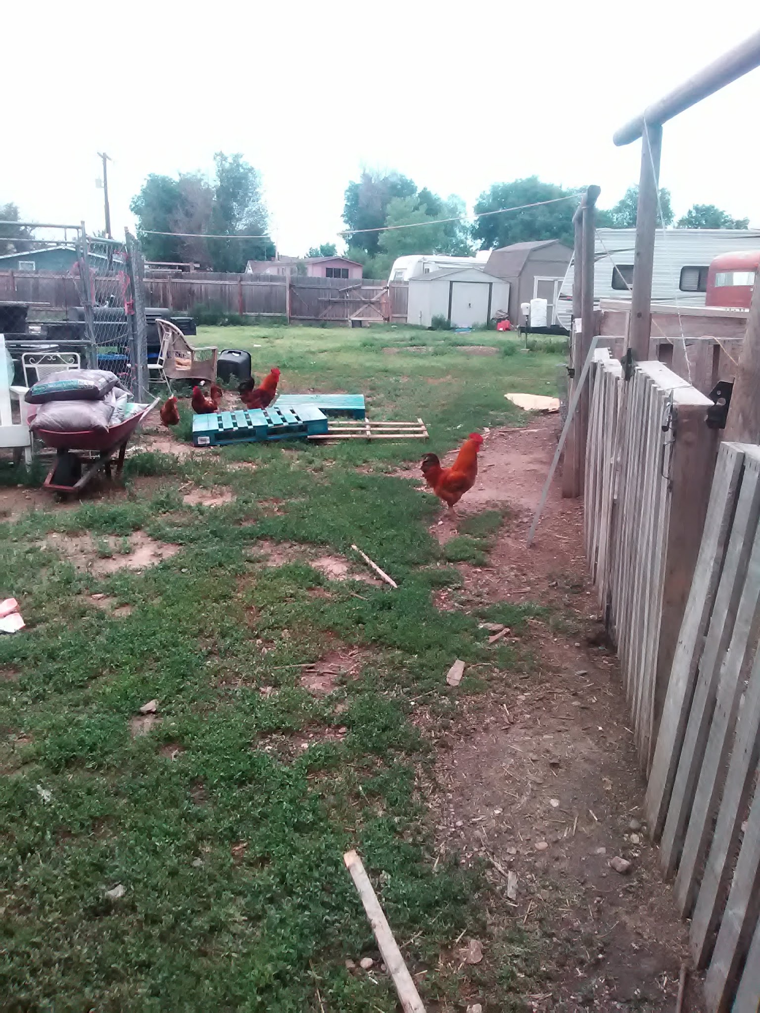 Eaton Commons Park - Eaton, CO