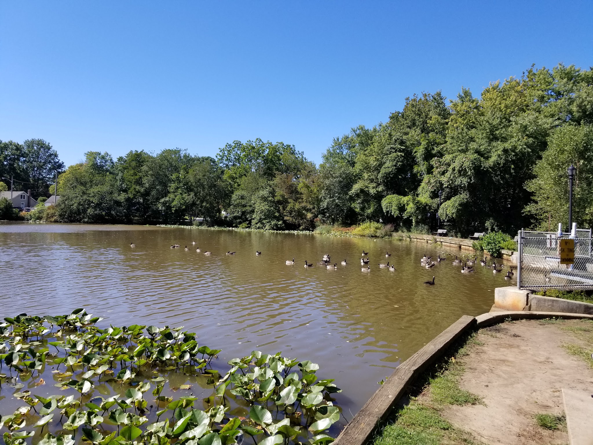 Wampum Park - Eatontown, NJ