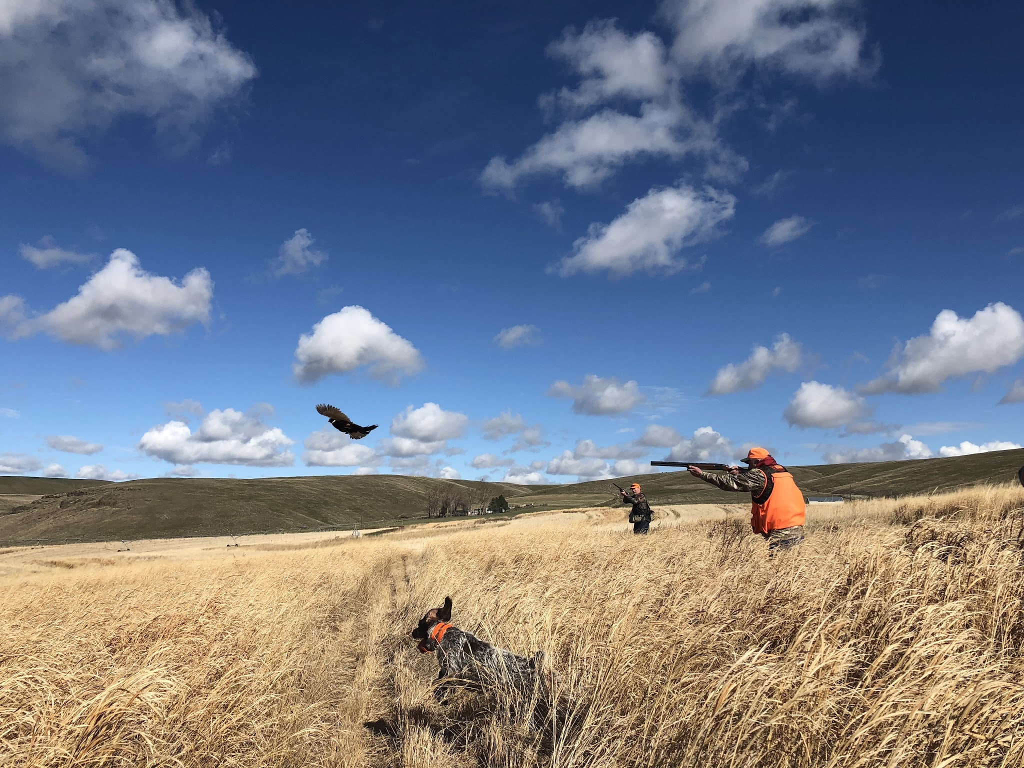 Horseshoe Curve Outdoors - Echo, OR