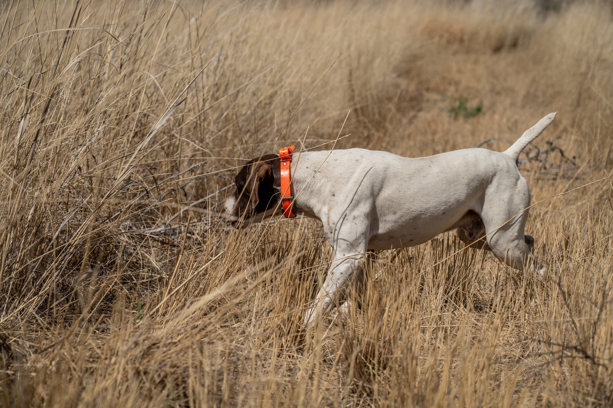 Horseshoe Curve Outdoors - Echo, OR